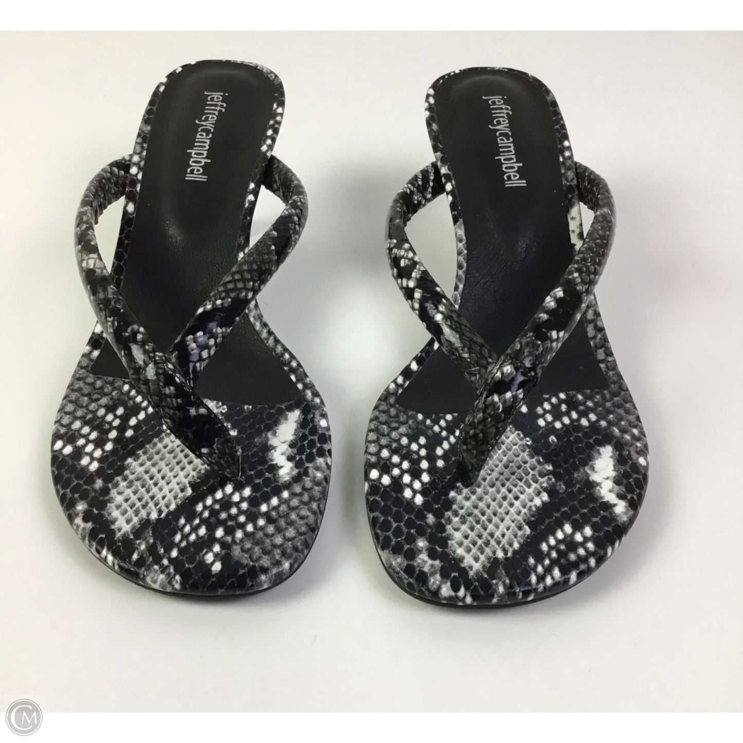 Sandals Heels Kitten By Jeffery Campbell In Snakeskin Print, Size: 7