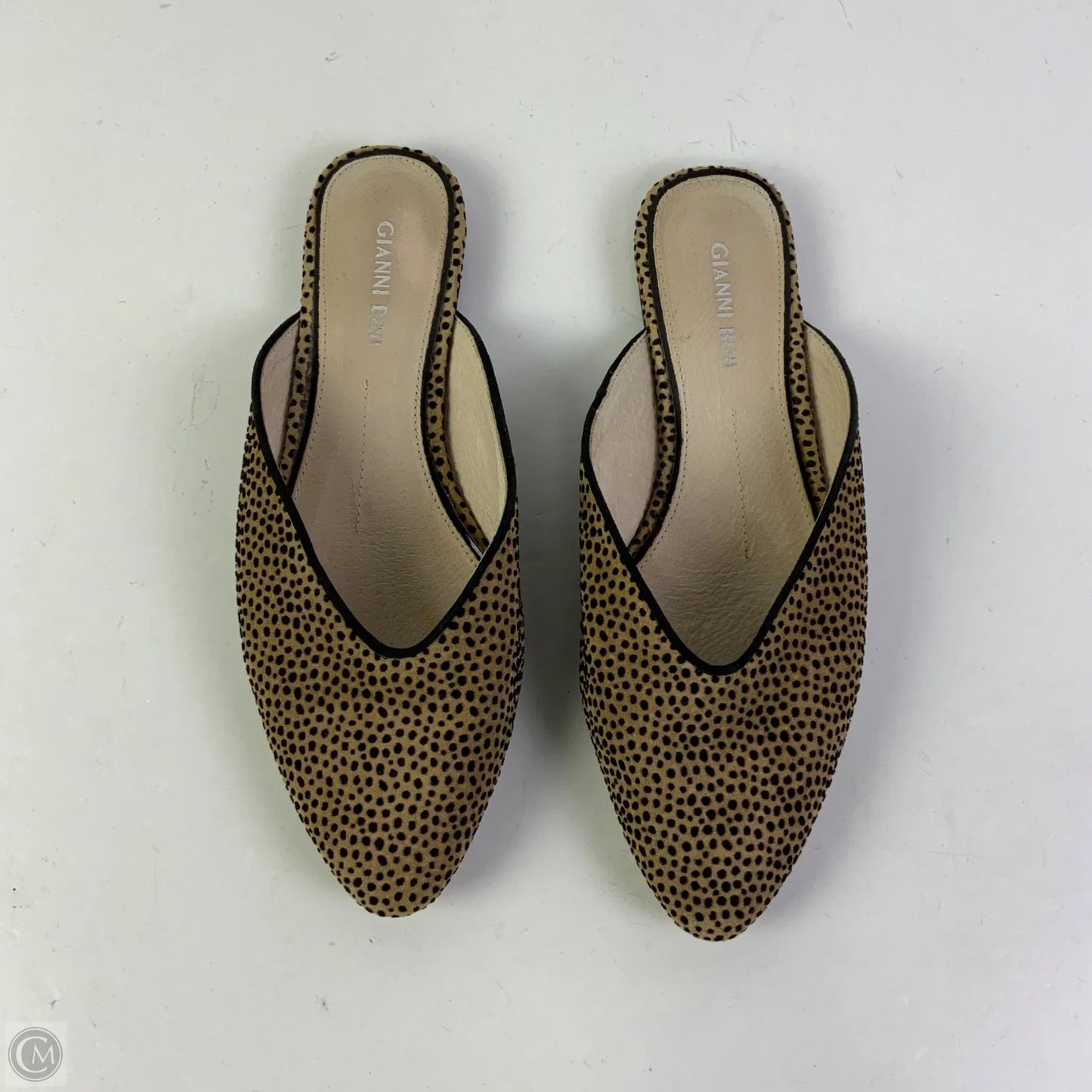 Shoes Flats By Gianni Bini In Animal Print, Size: 7