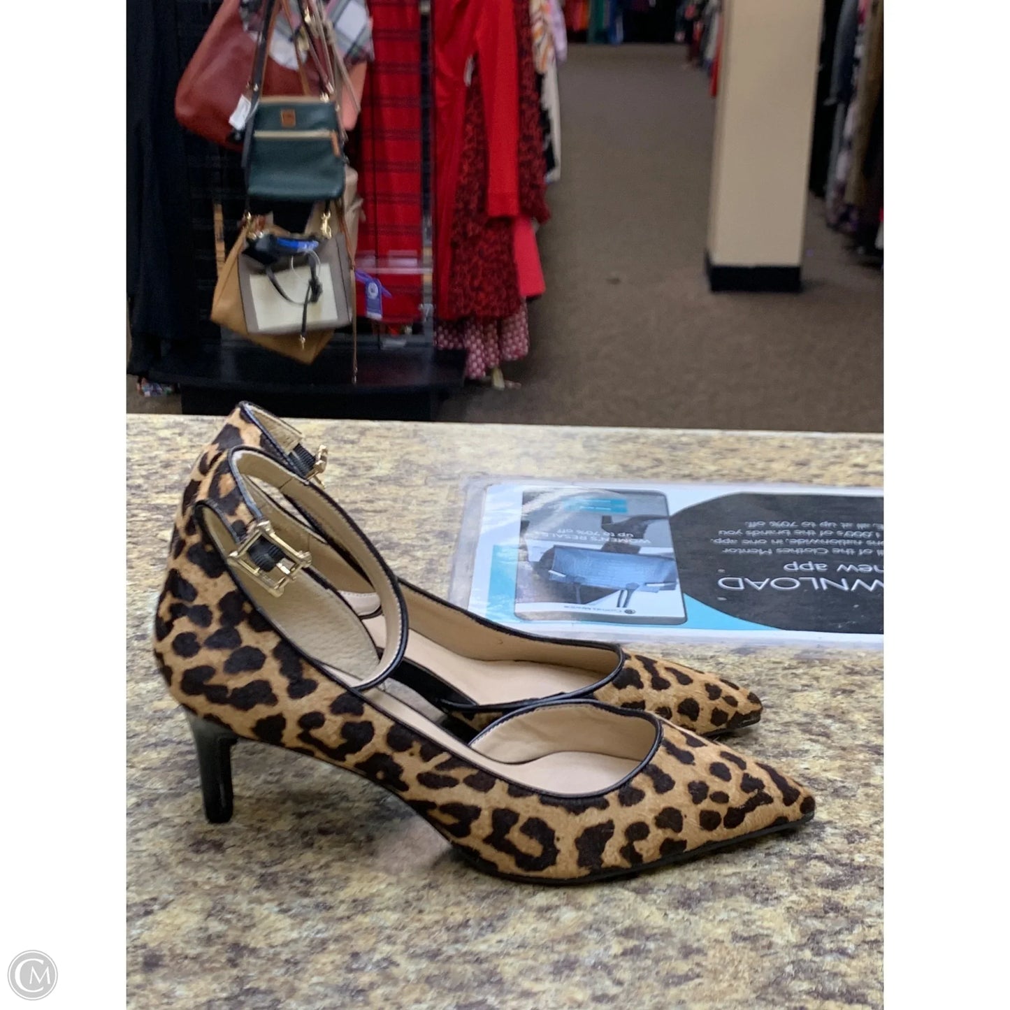 Shoes Heels Kitten By Franco Sarto In Leopard Print, Size: 7