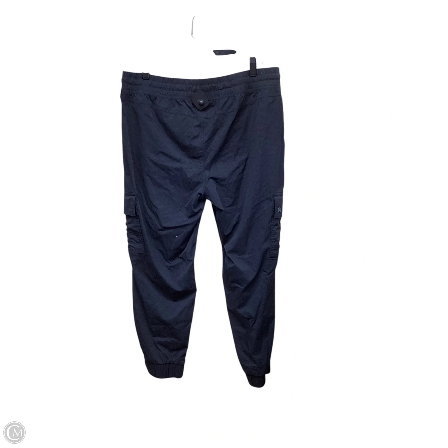 Athletic Pants By Eddie Bauer In Black, Size: L