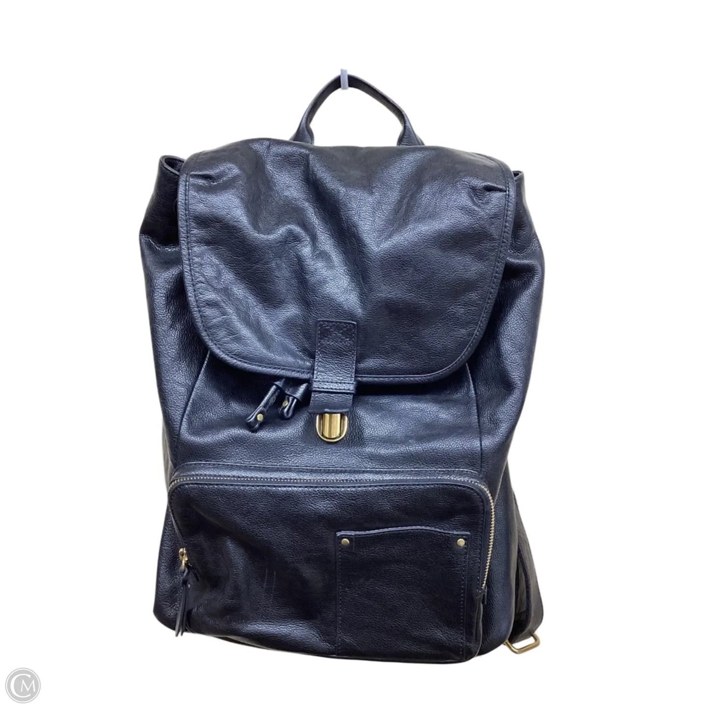 Backpack By Fossil, Size: Large