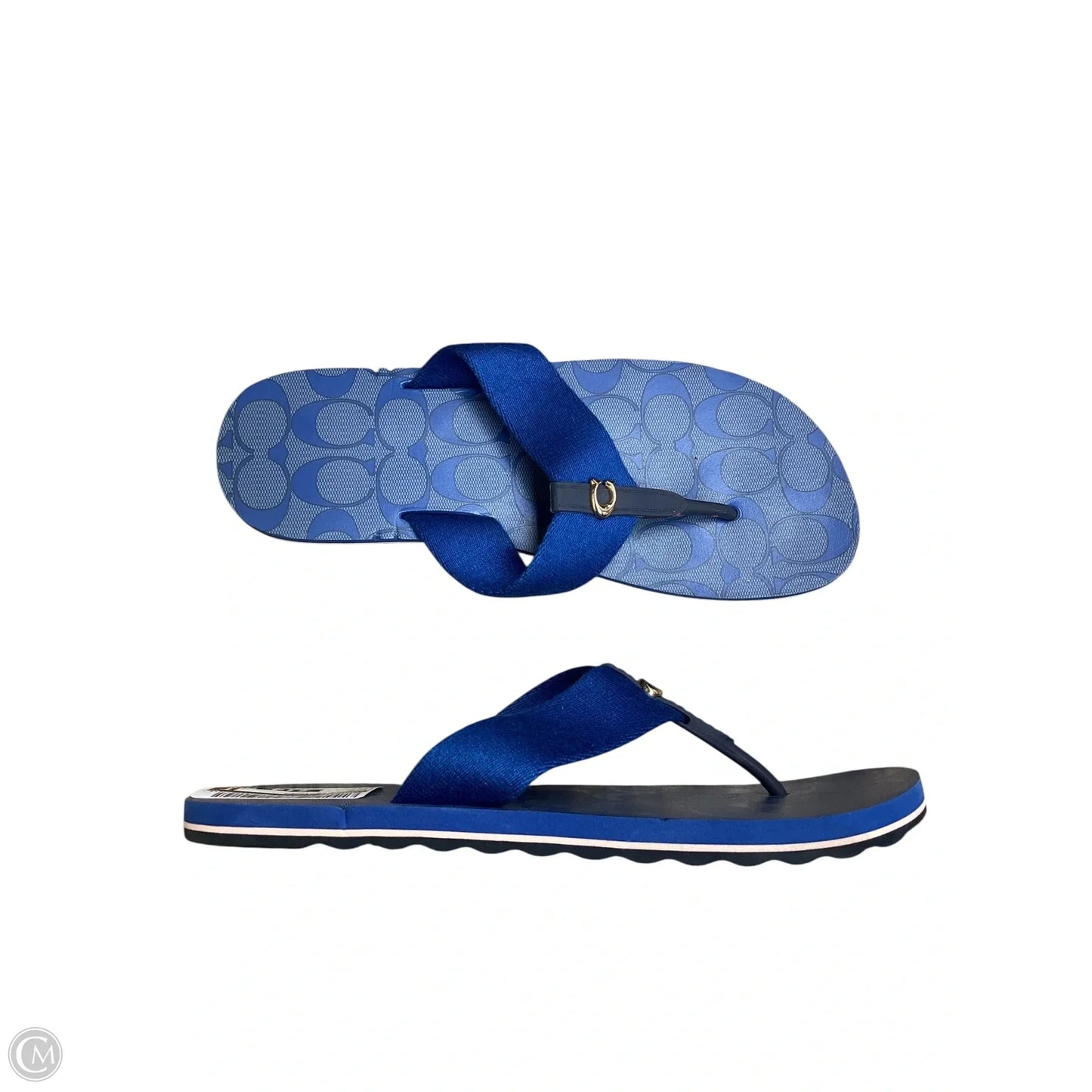 Sandals Designer By Coach In Blue, Size: 7