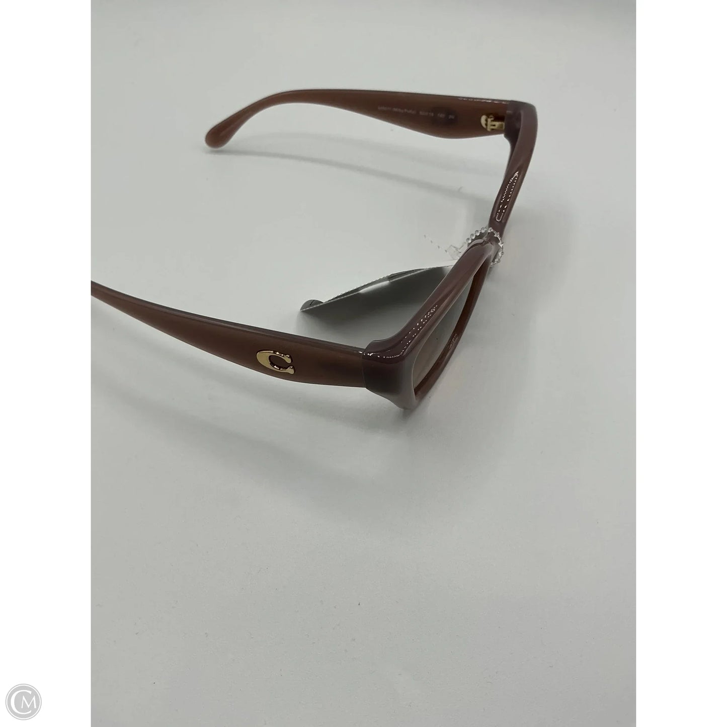 Sunglasses Luxury Designer By Coach, Size: Large
