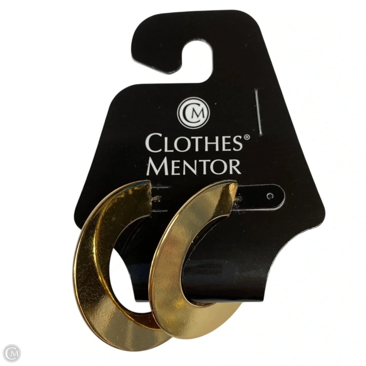 Earrings Hoop By Clothes Mentor