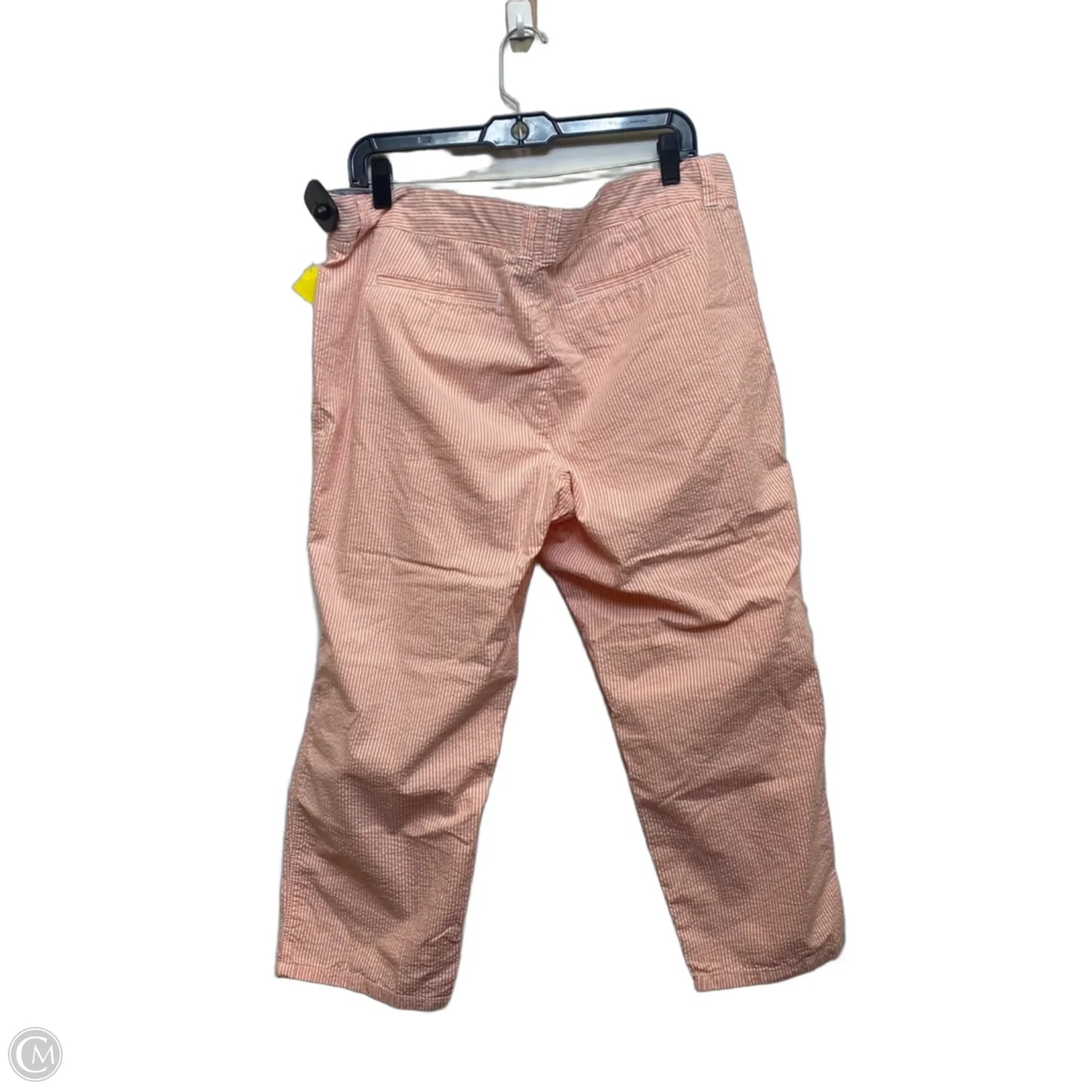 Pants Cropped By Crown And Ivy In Orange & White, Size: 16