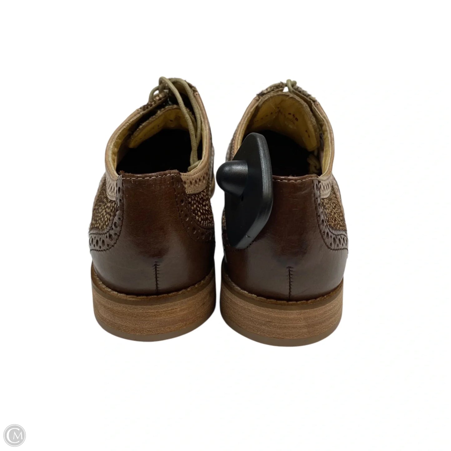 Shoes Designer By Cole-haan In Brown, Size: 8.5