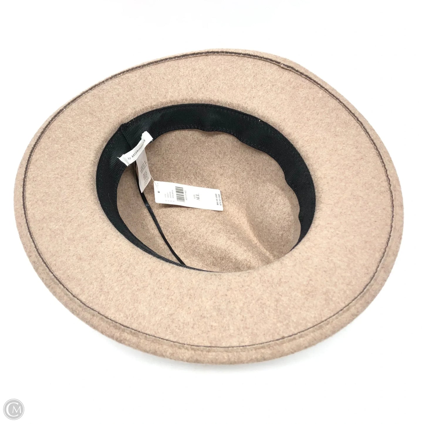 Hat Fedora By Anthropologie