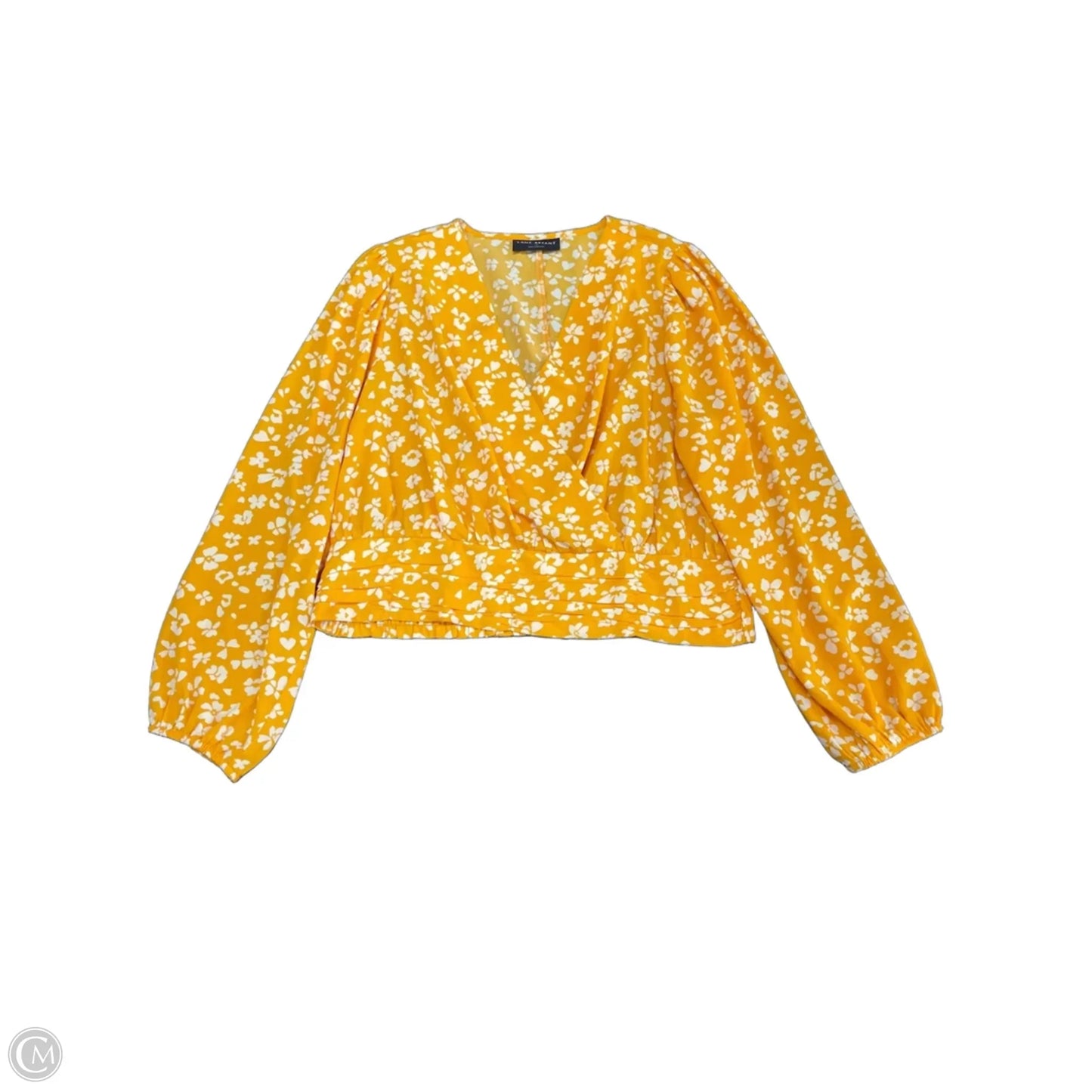 Blouse Long Sleeve By Lane Bryant In Yellow, Size: 14