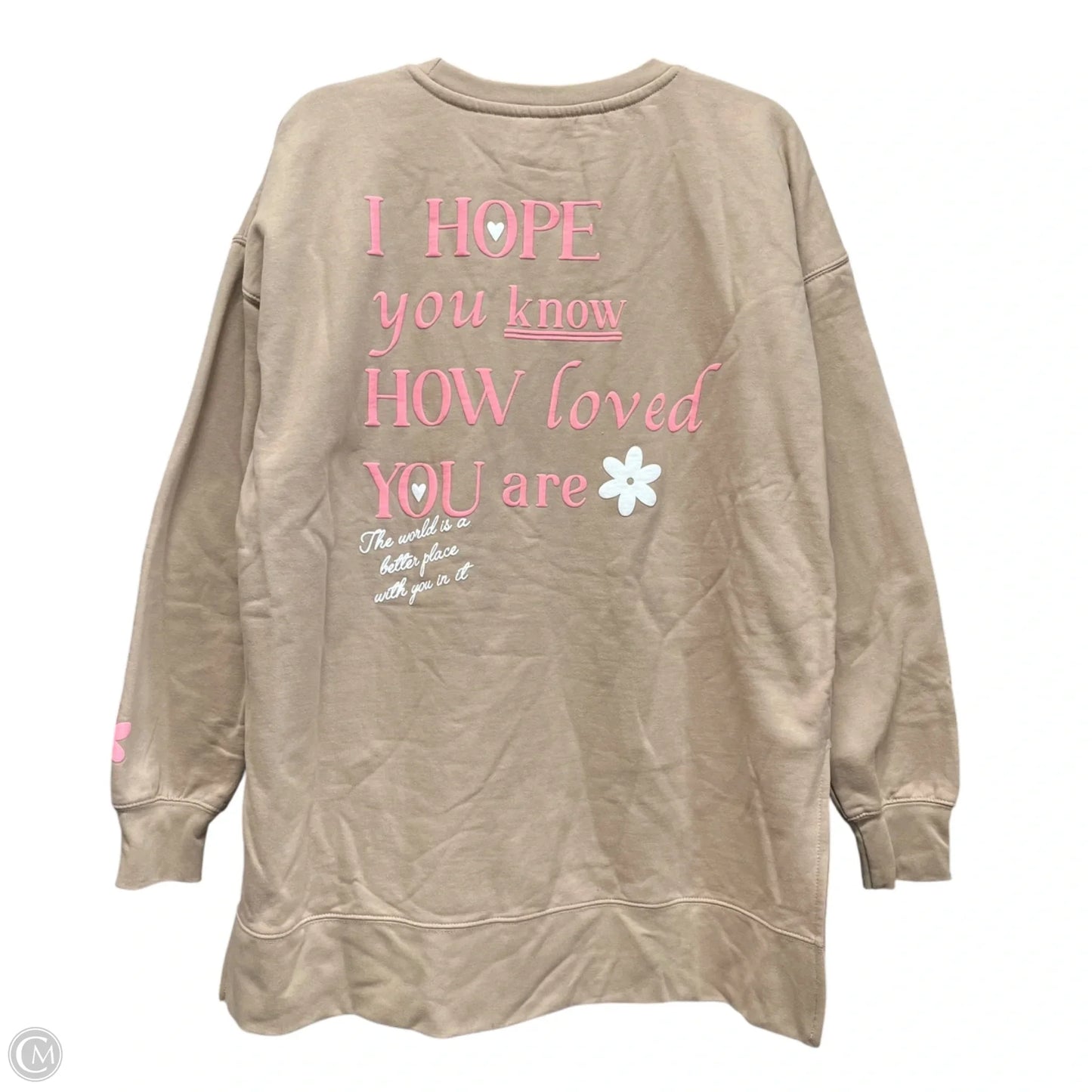 Sweatshirt Crewneck By Clothes Mentor In Tan, Size: Xxl