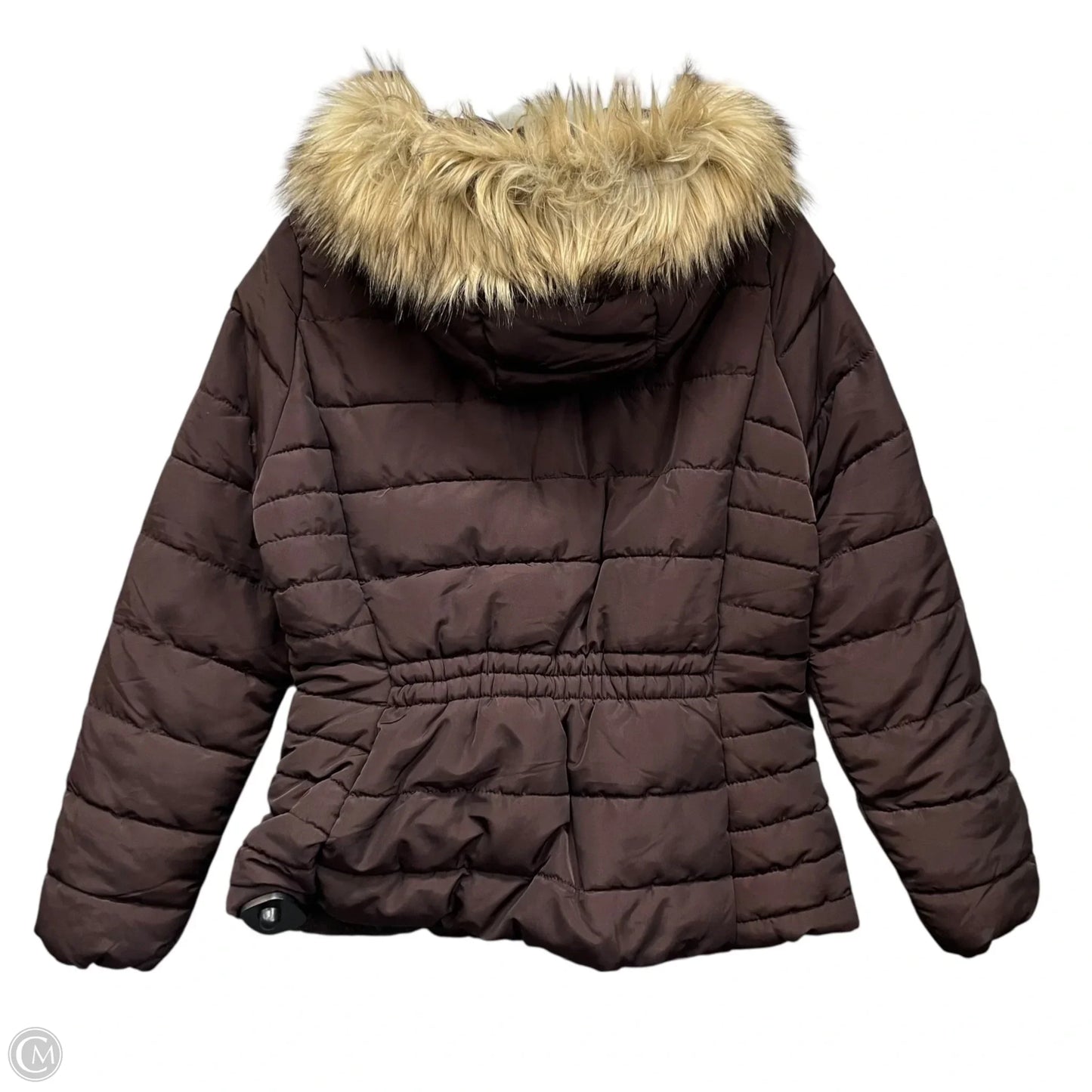 Jacket Puffer & Quilted By H&m In Brown, Size: 10