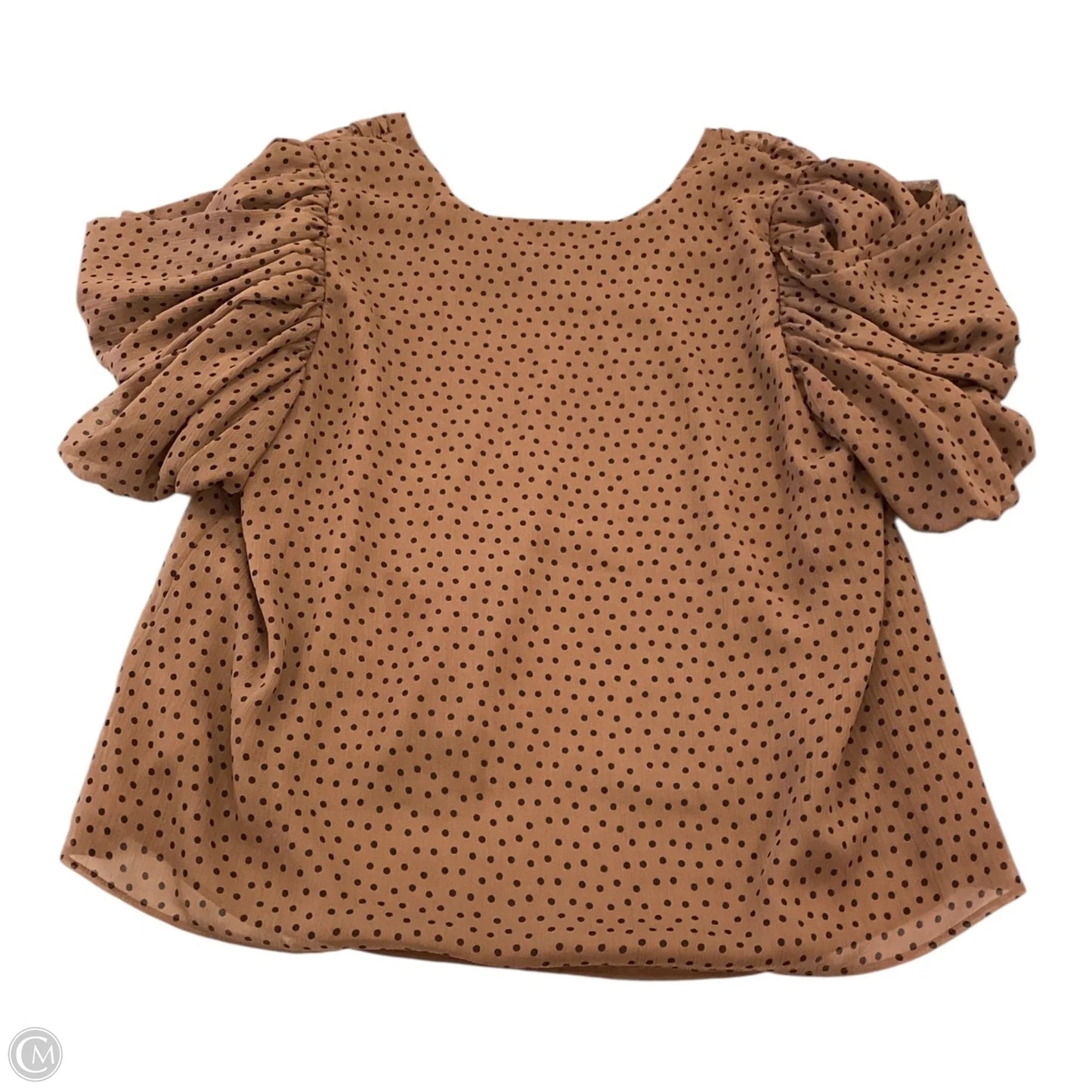 Top Short Sleeve By Express In Brown, Size: L