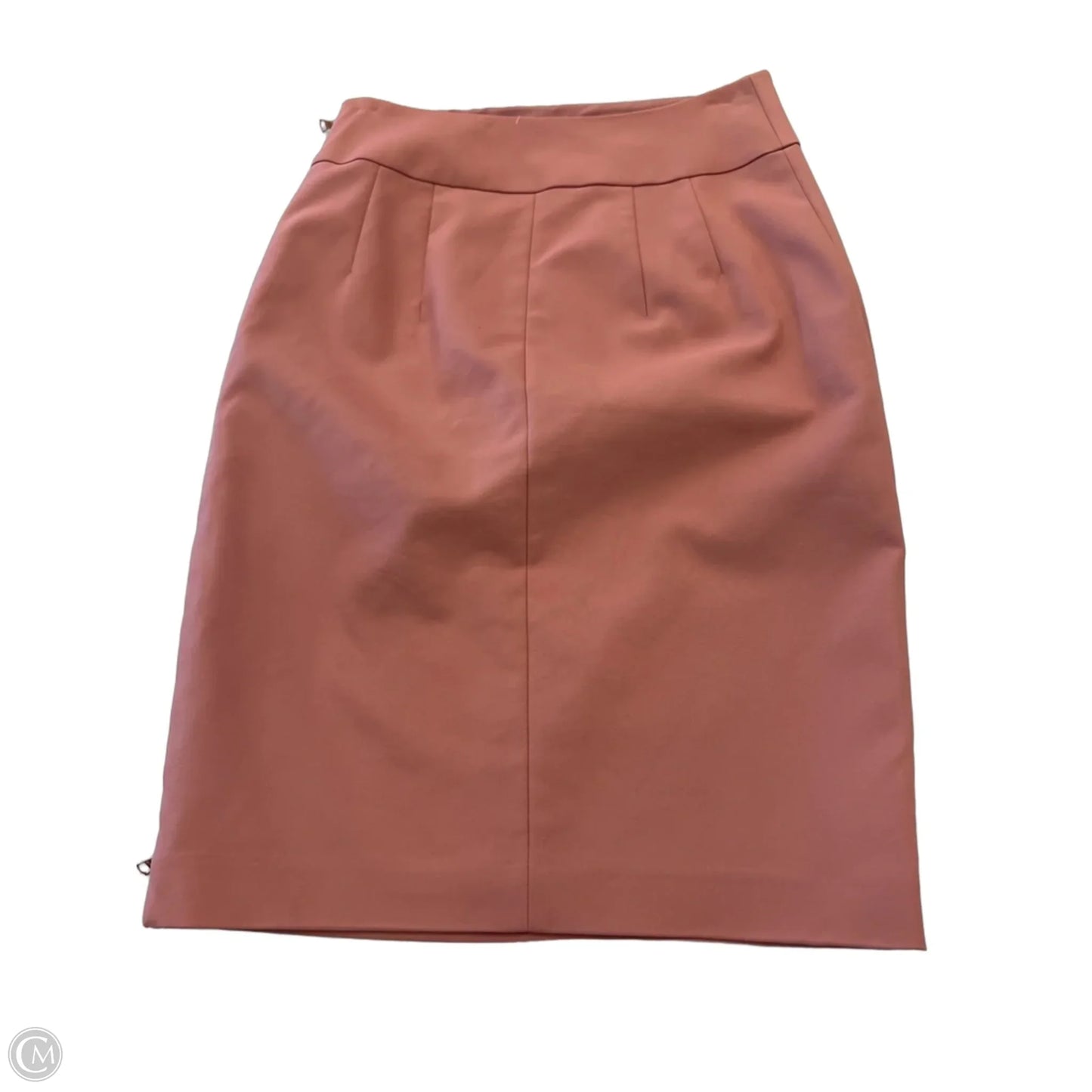 Skirt Midi By Express In Pink, Size: S