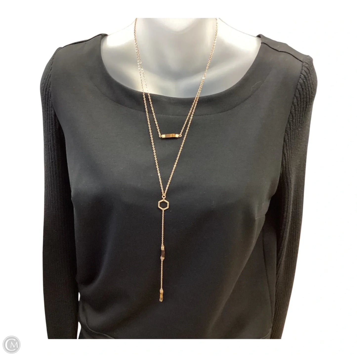 Necklace Layered By Clothes Mentor