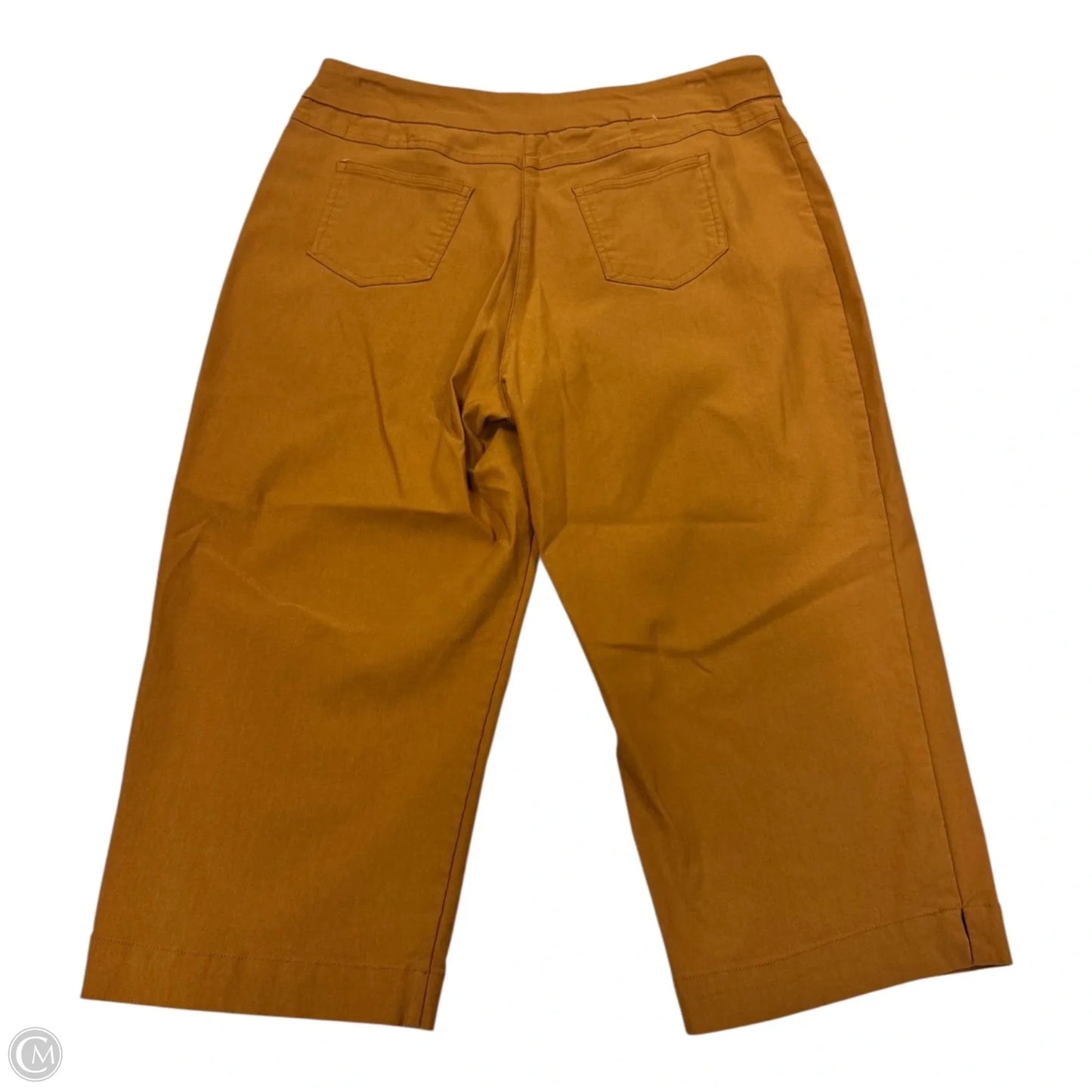 Capris By Clothes Mentor In Gold, Size: Petite Large