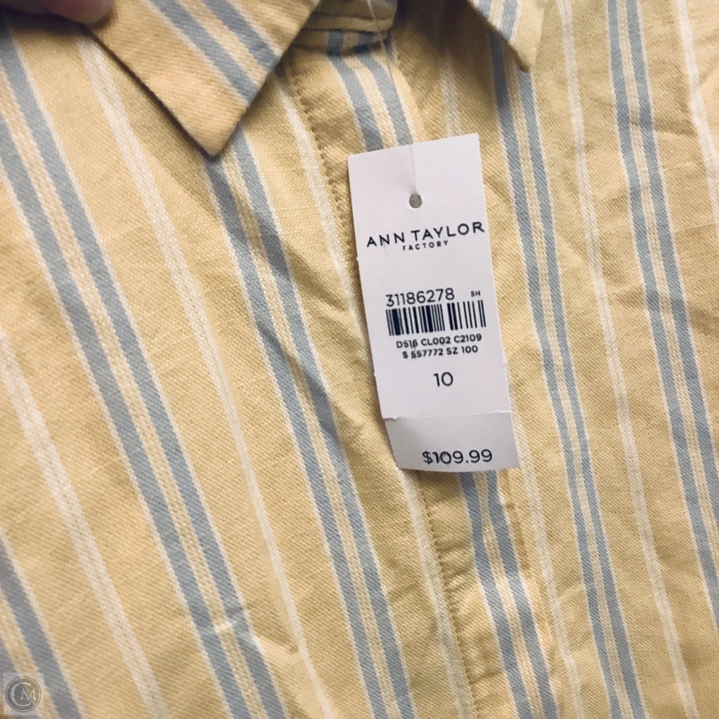 Dress Casual Short By Ann Taylor In Yellow, Size: 10