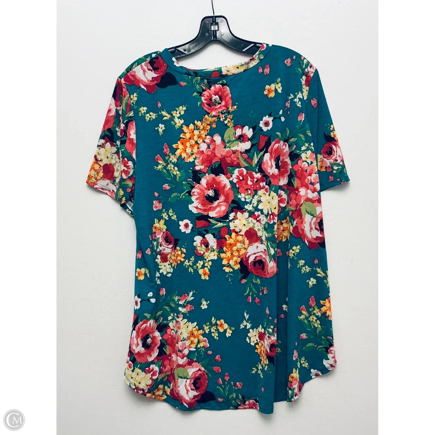 Top Short Sleeve By Heimish Usa In Green, Size: 3x