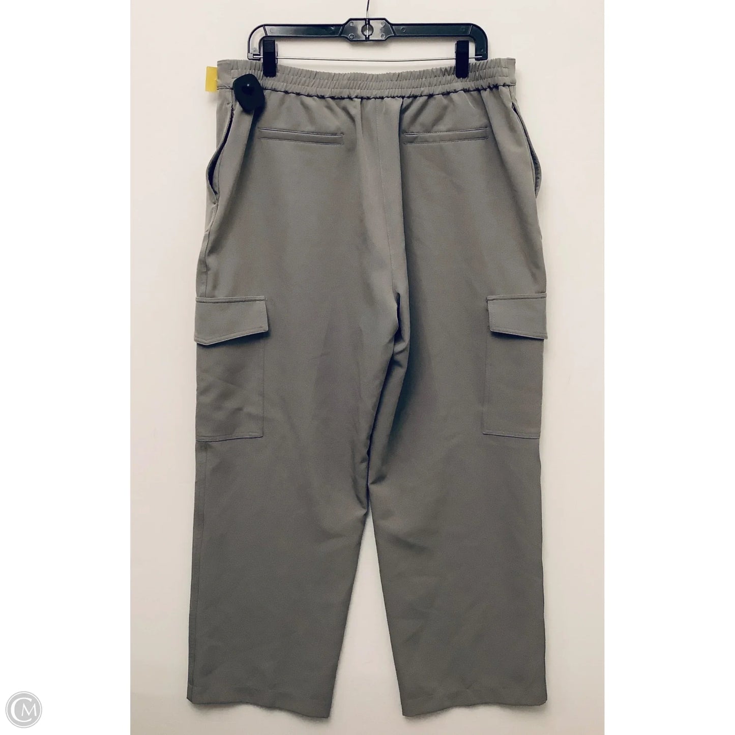 Pants Cargo & Utility By Rachel Zoe In Grey, Size: Xl