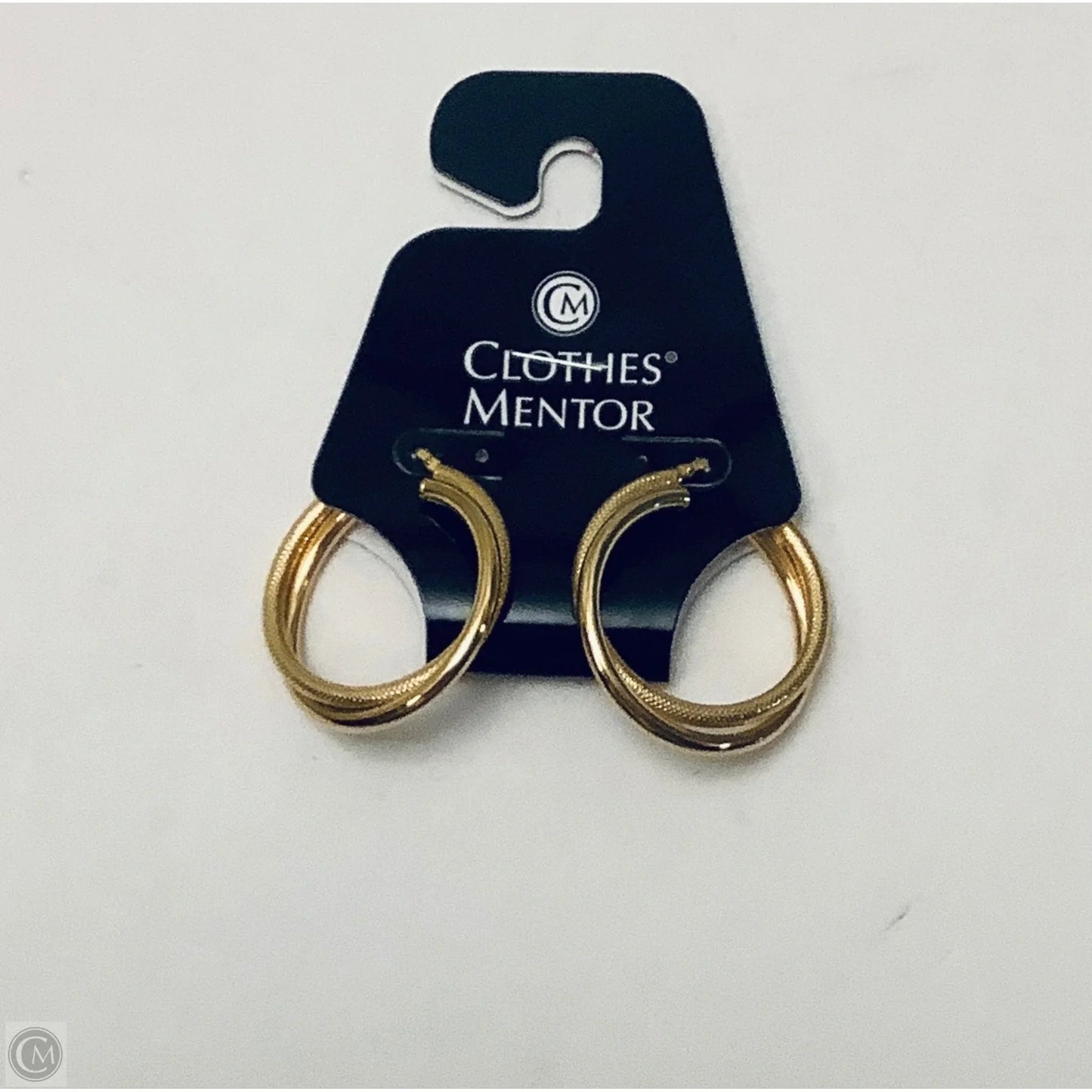 Earrings Hoop By Dolce Vita