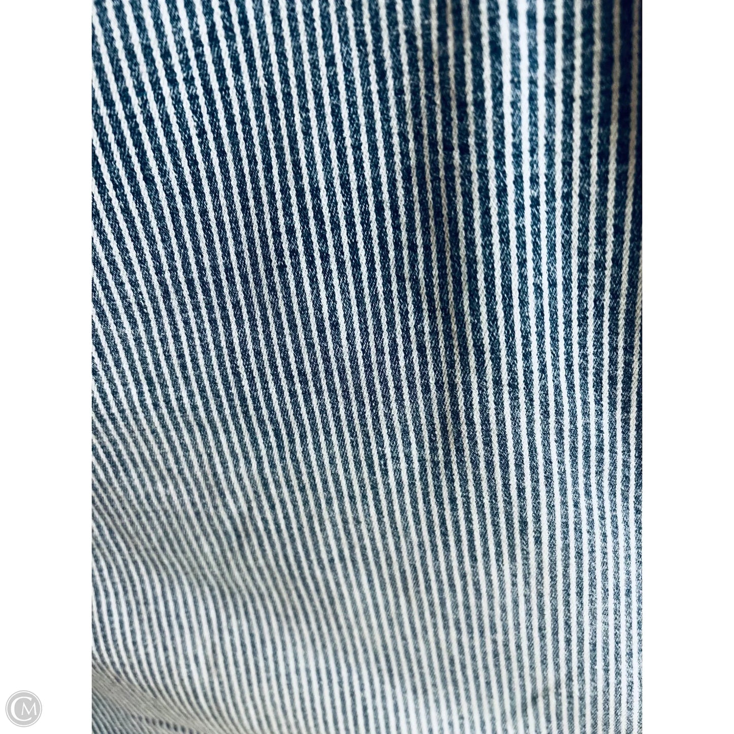 Shorts By Lane Bryant In Blue & White, Size: 22