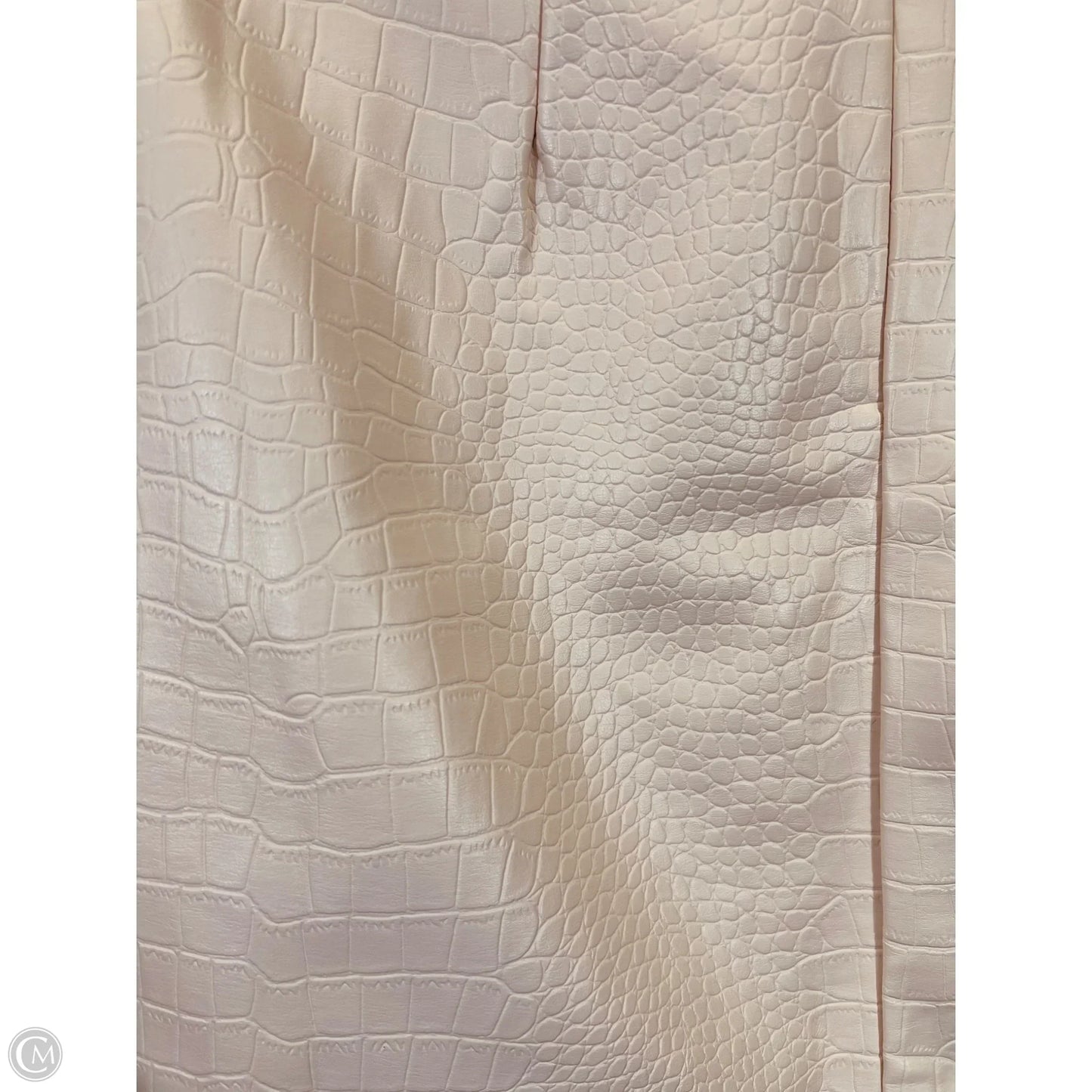 Skirt Mini & Short By Blue Rain In Tan, Size: Xs