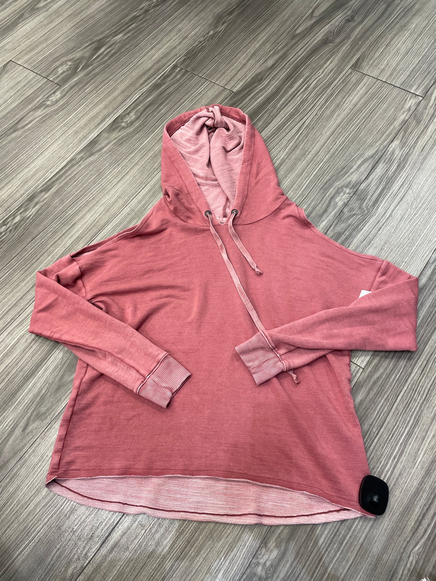 Sweatshirt Hoodie By American Eagle Size: Xs