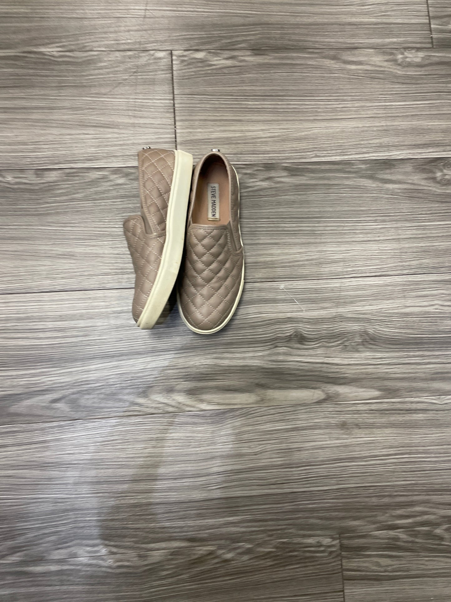 Shoes Flats By Steve Madden Size: 7