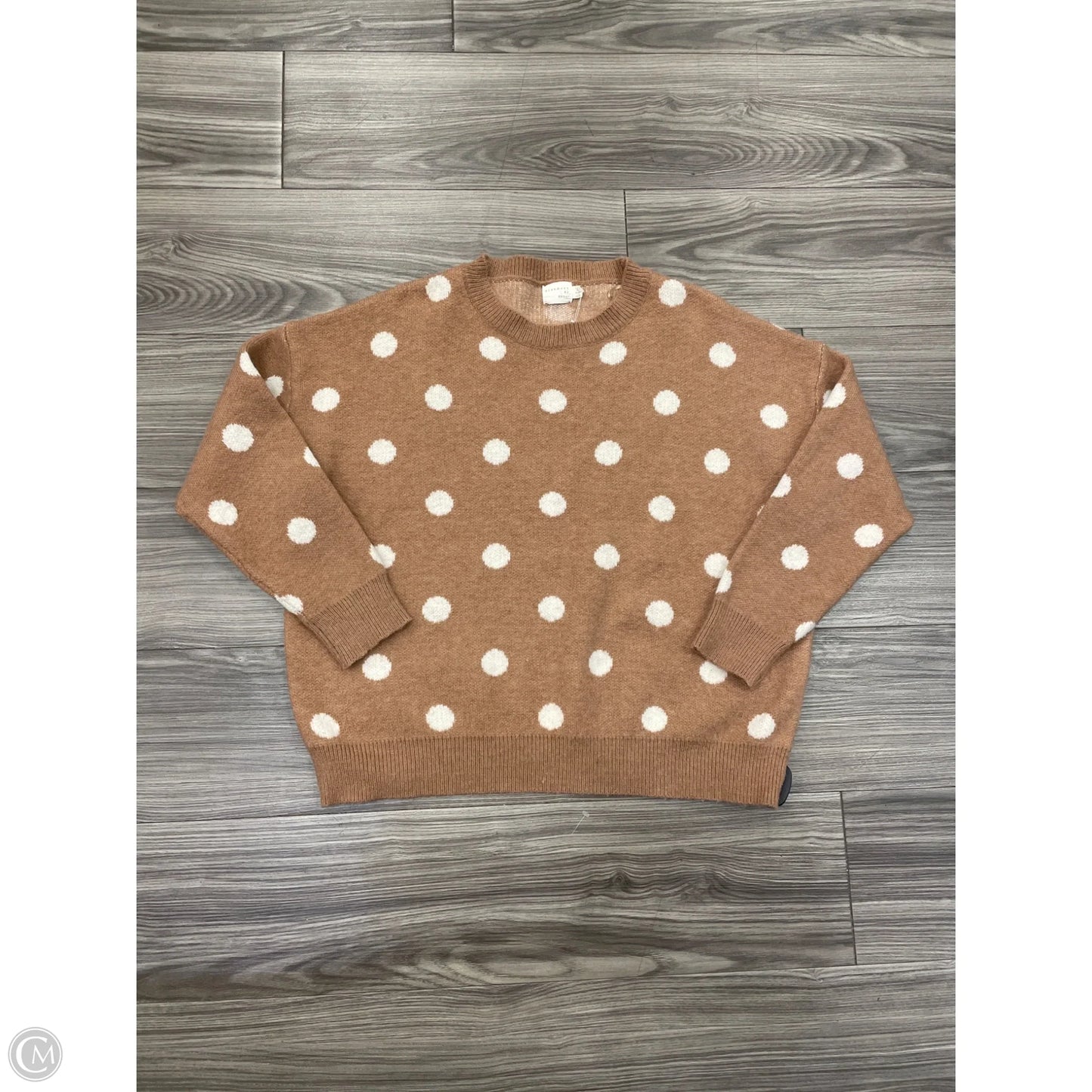 Sweater By Dreamers In Polkadot Pattern, Size: L