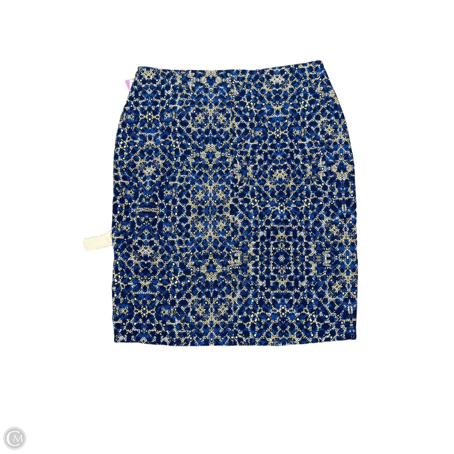 Skirt Mini & Short By Lysse In Blue, Size: Xl