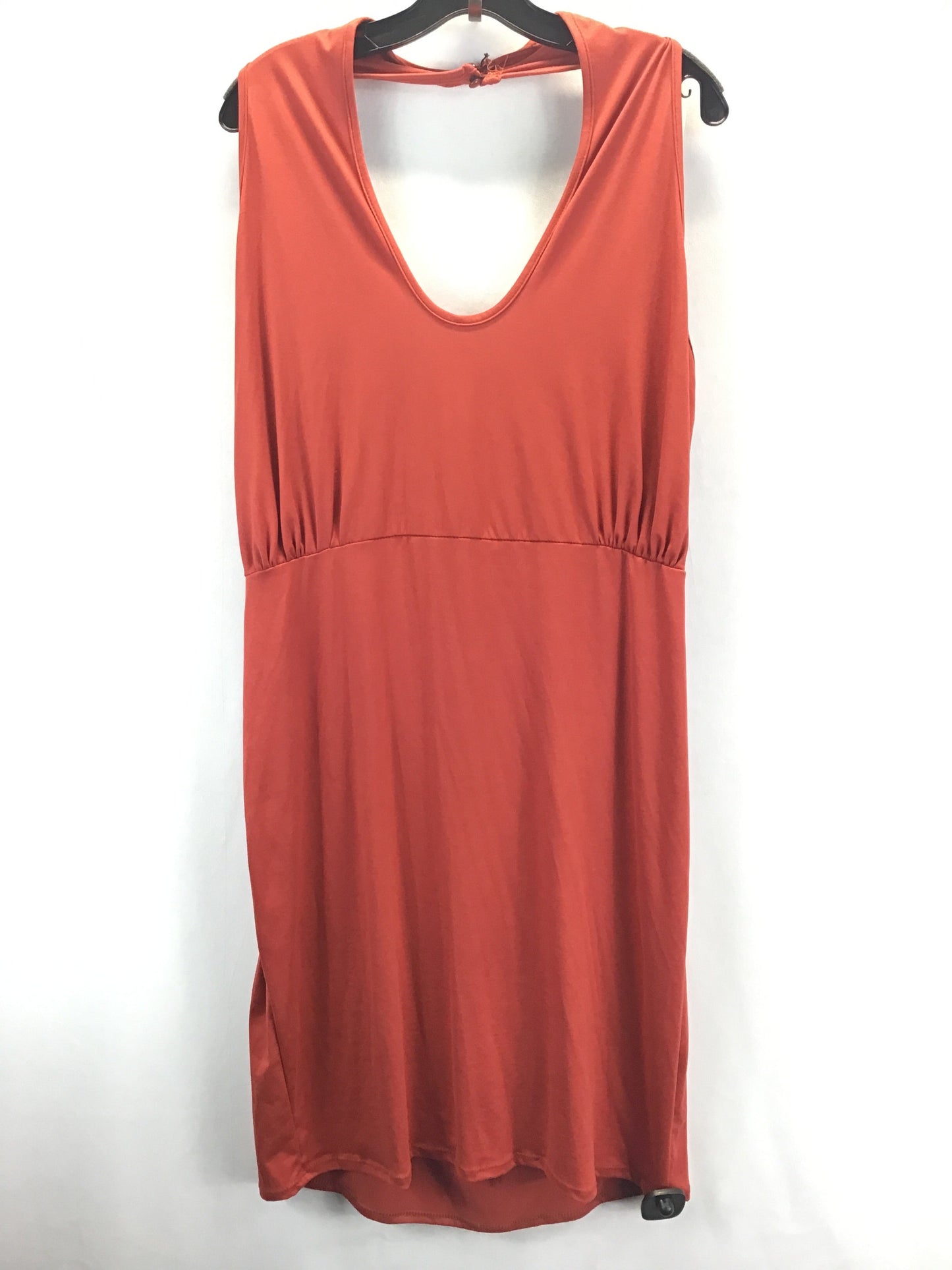 Dress Casual Short By Ashley Stewart Size: 4x