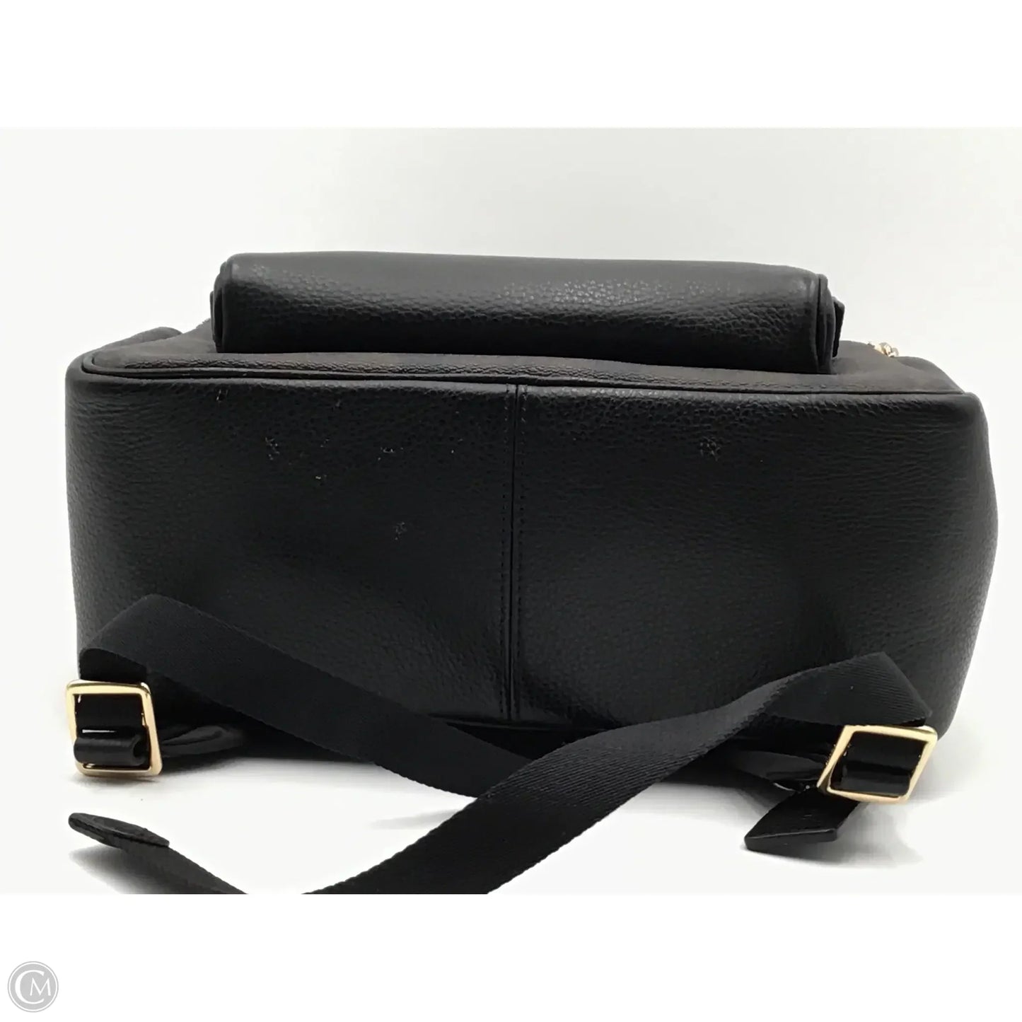 Backpack Designer By Coach, Size: Medium