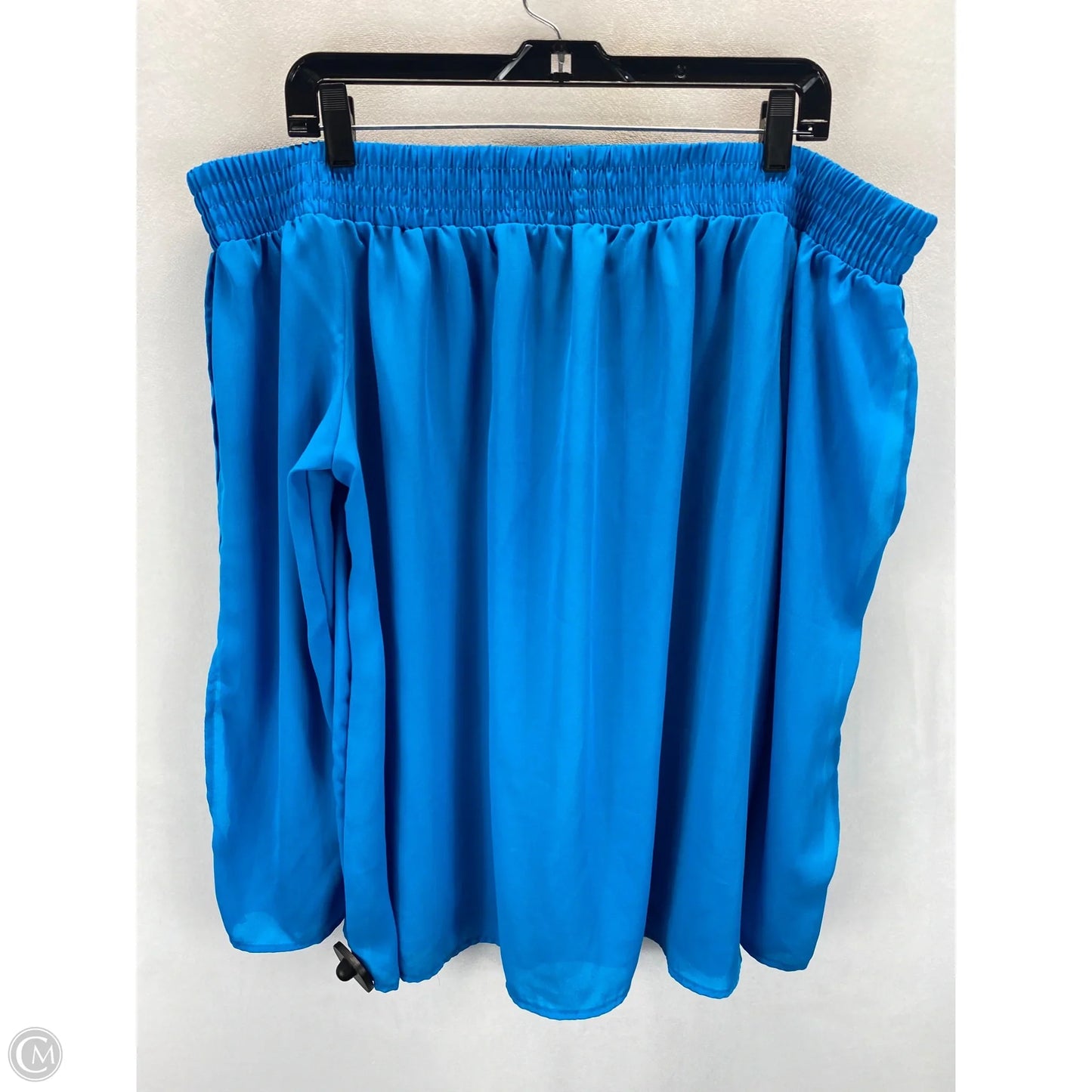 Blouse Long Sleeve By Ashley Stewart In Sea Blue, Size: 18