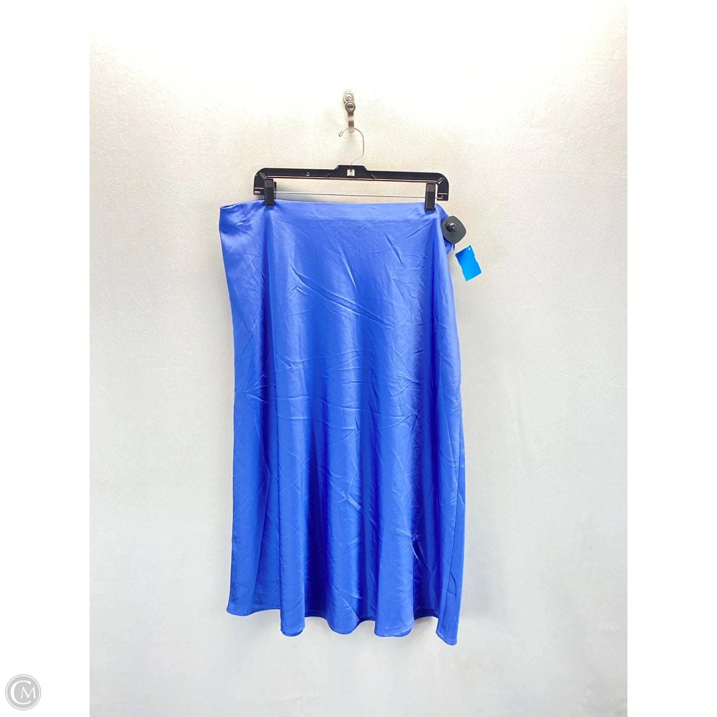 Skirt Maxi By Forever 21 In Blue, Size: 2x