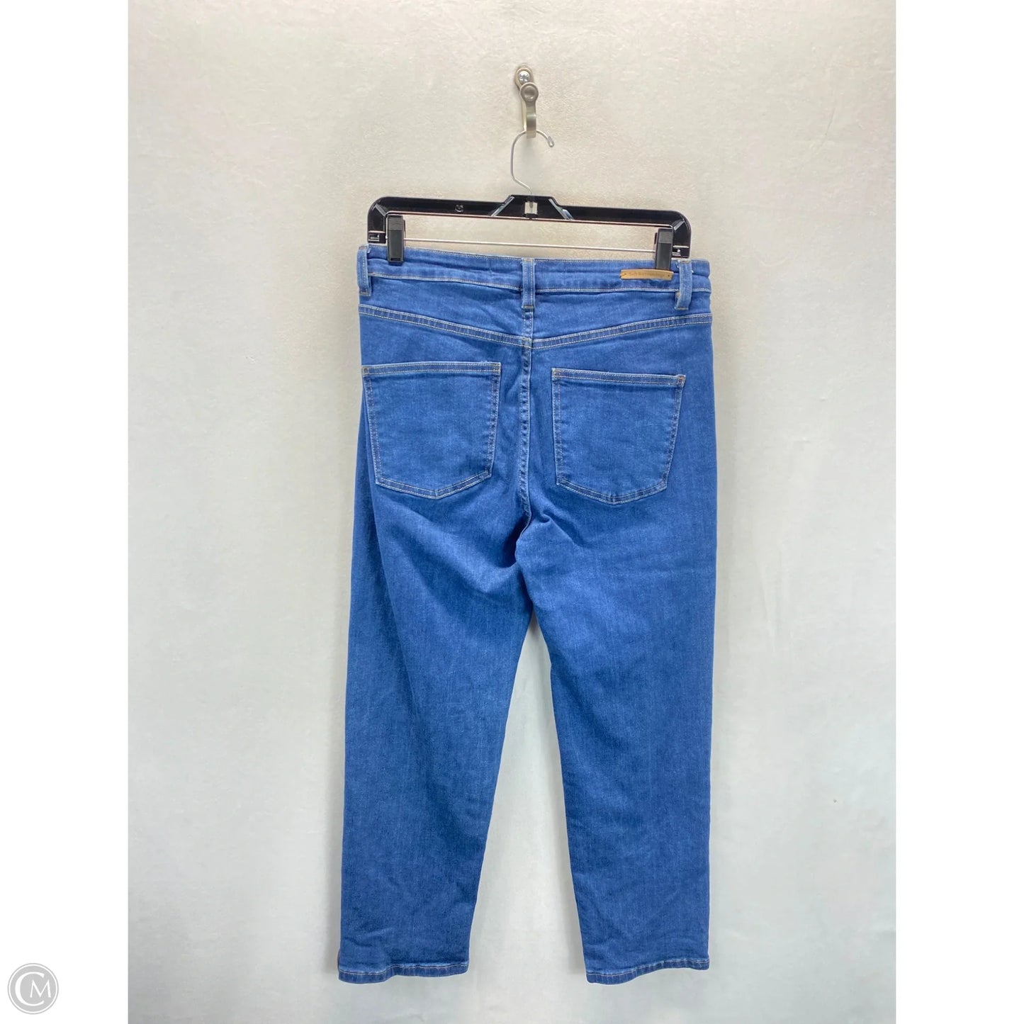 Jeans Skinny By Soft Surroundings In Blue, Size: 8