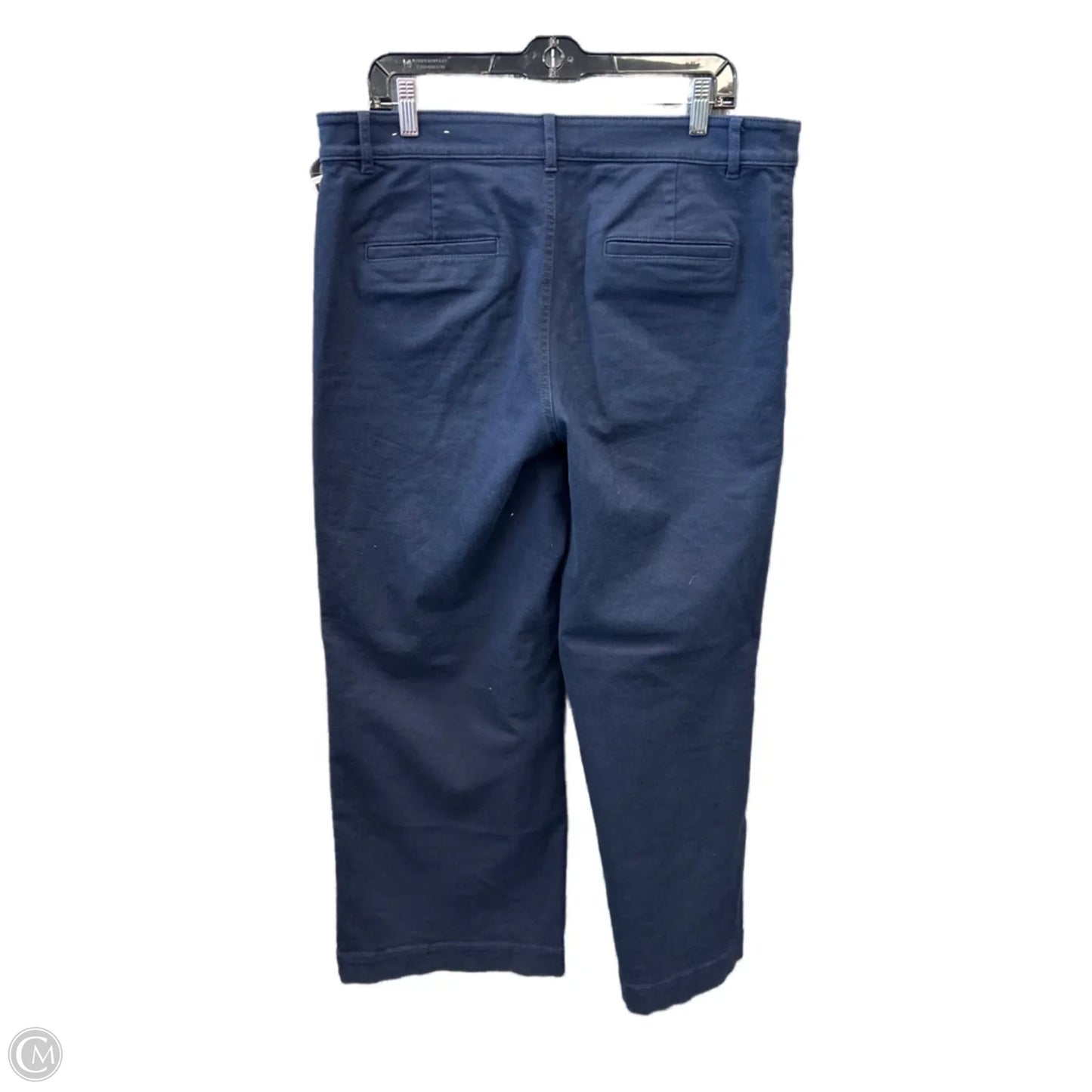 Pants Other By Loft In Navy, Size: 14