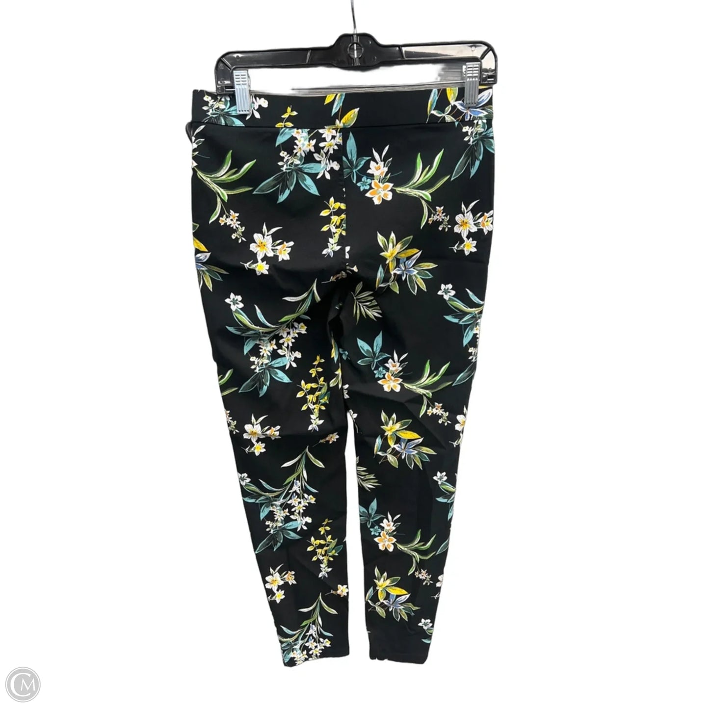 Pants Other By Zac And Rachel In Floral Print, Size: 6