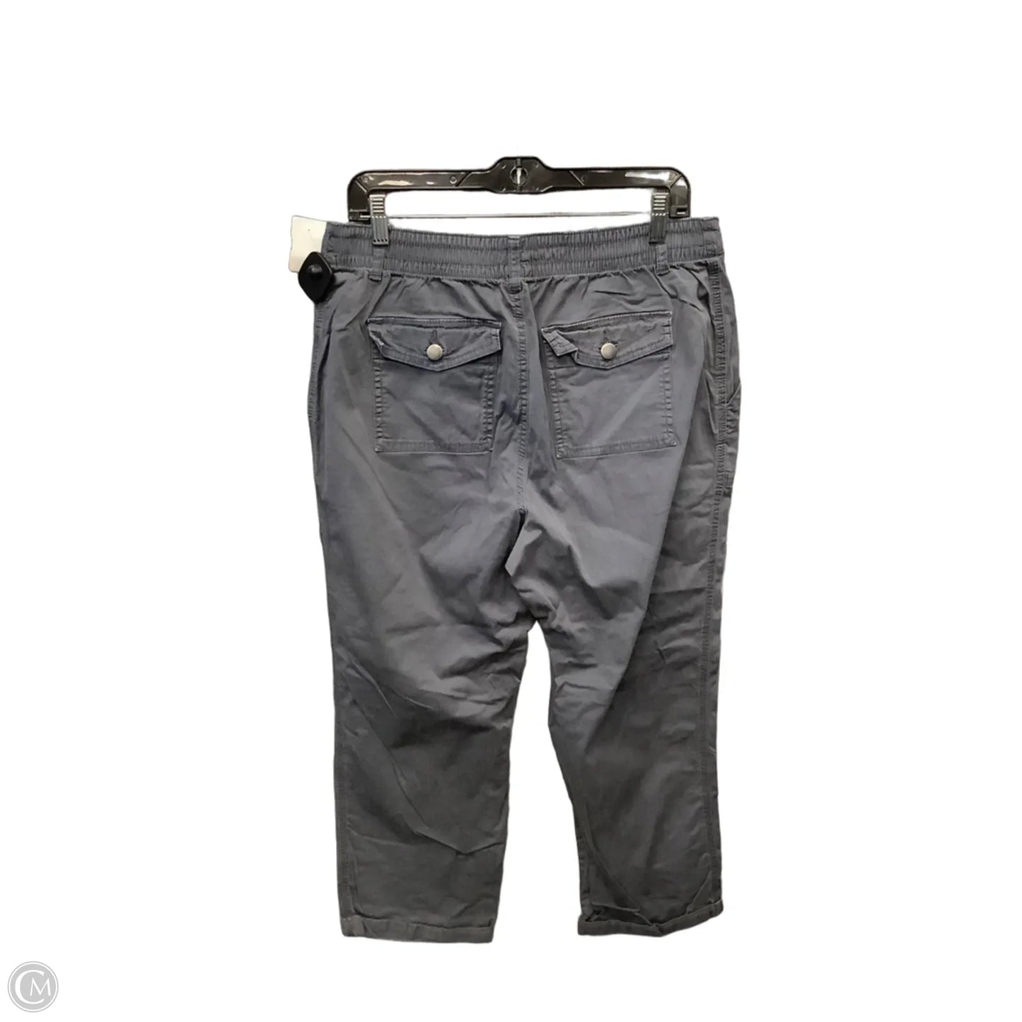 Pants Cargo & Utility By Time And Tru In Grey, Size: 14