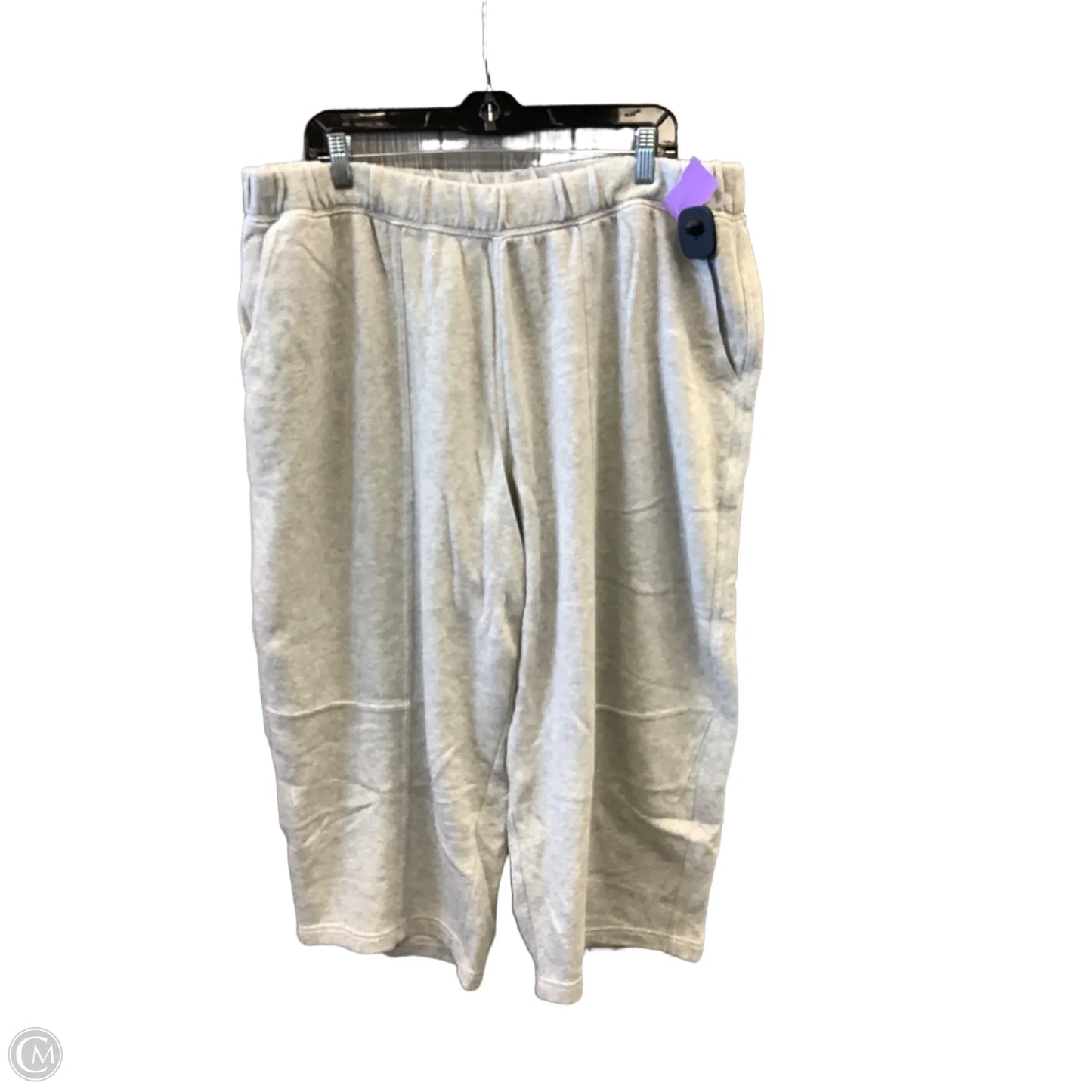 Pants Wide Leg By Aerie In Grey, Size: 14