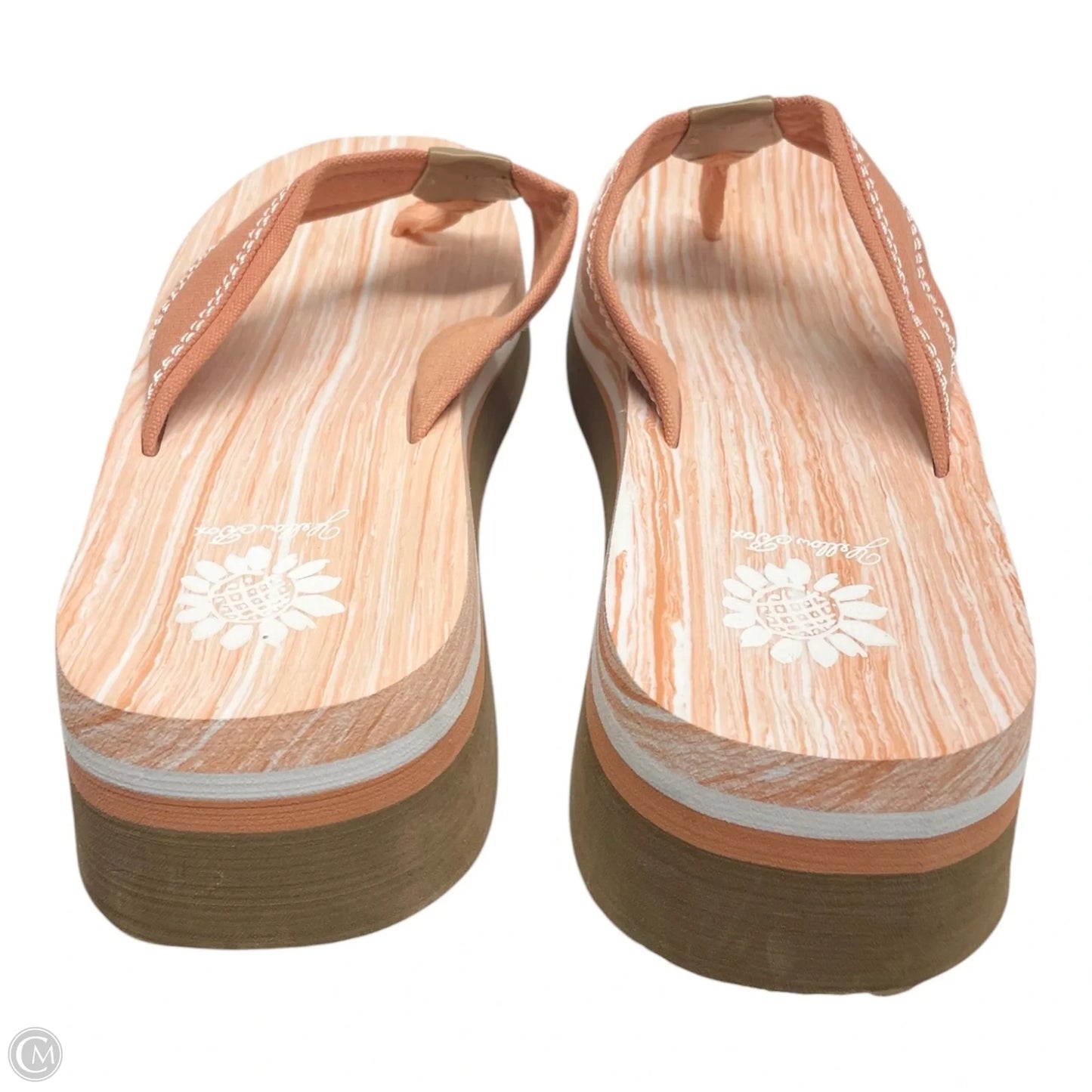 Sandals Flip Flops By Yellow Box In Orange & White, Size: 10