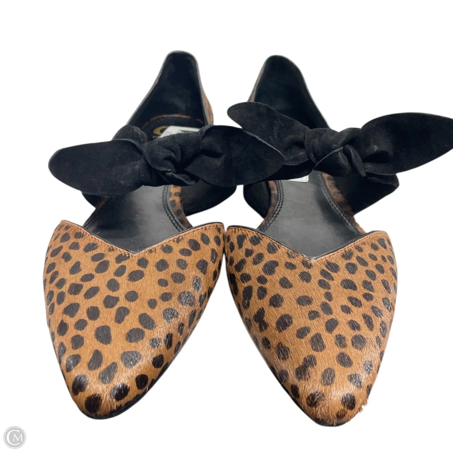 Shoes Flats By Gianni Bini In Animal Print, Size: 9