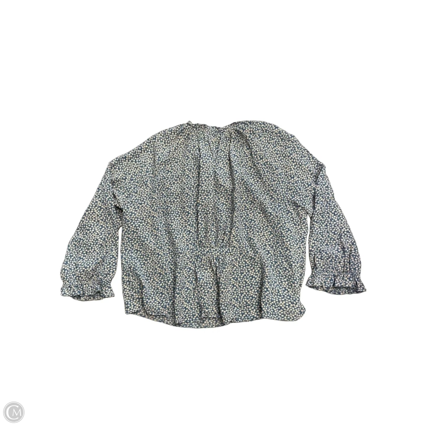 Blouse Long Sleeve By Madewell In Blue, Size: Xxl