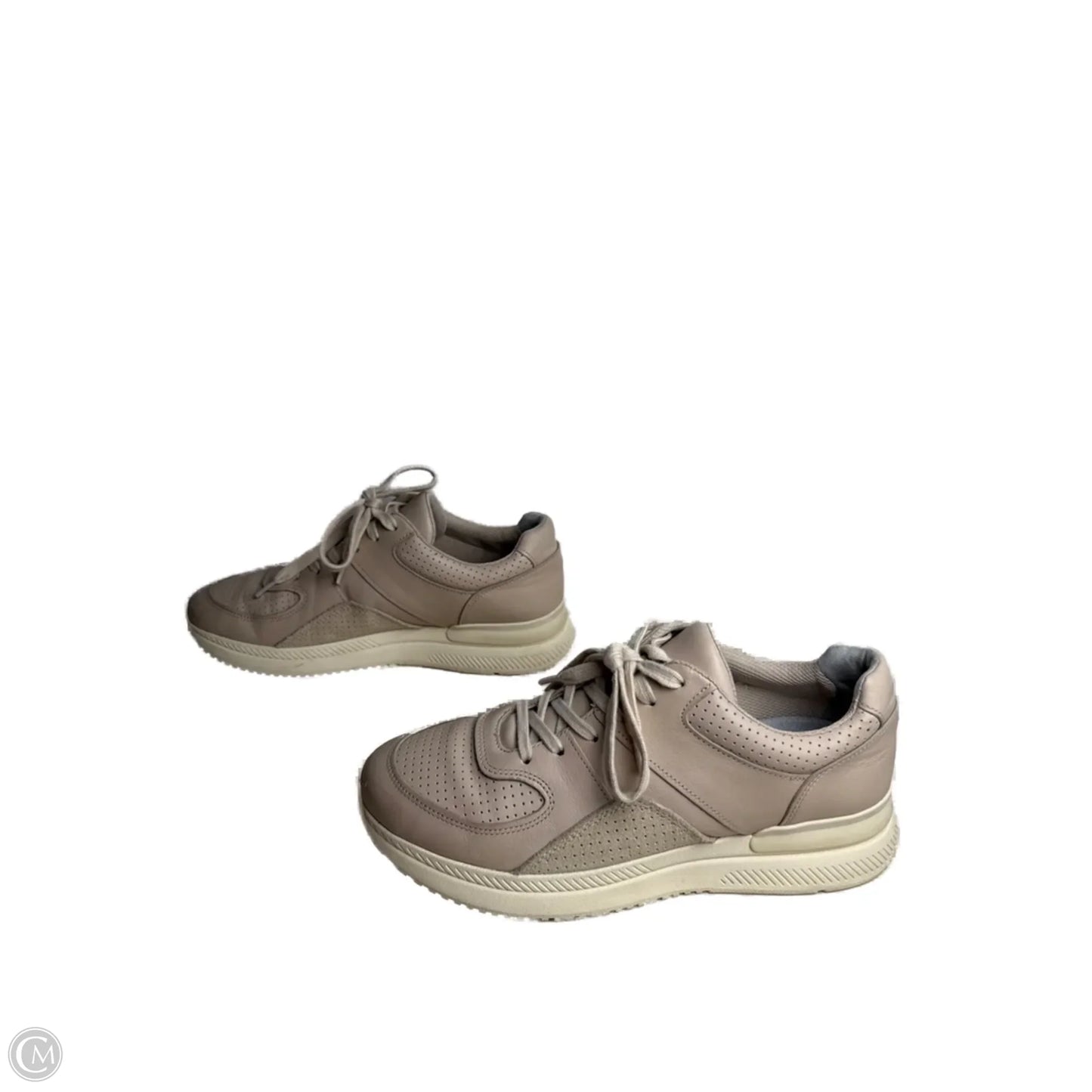 Shoes Sneakers By Everlane In Tan, Size: 8