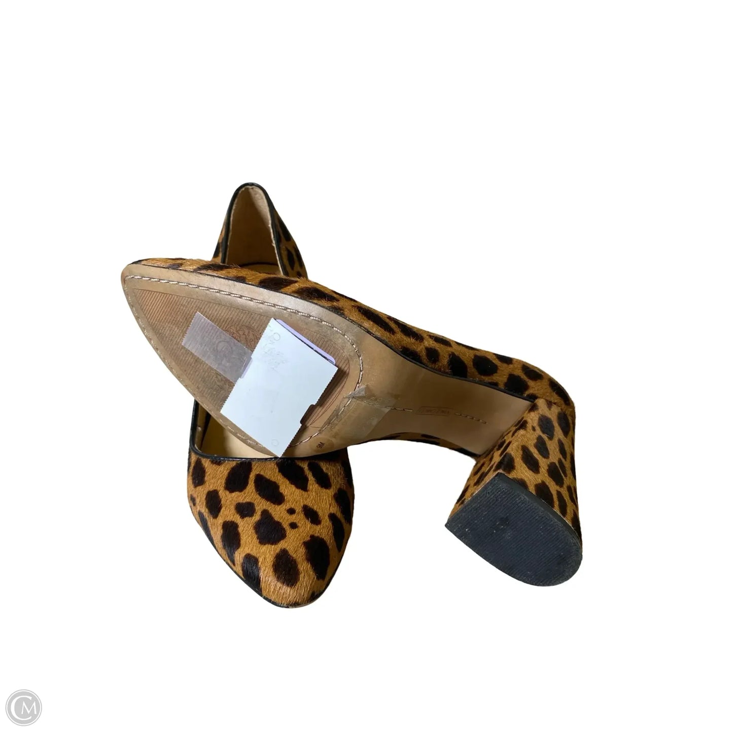 Shoes Heels Block By Vince Camuto In Animal Print, Size: 9
