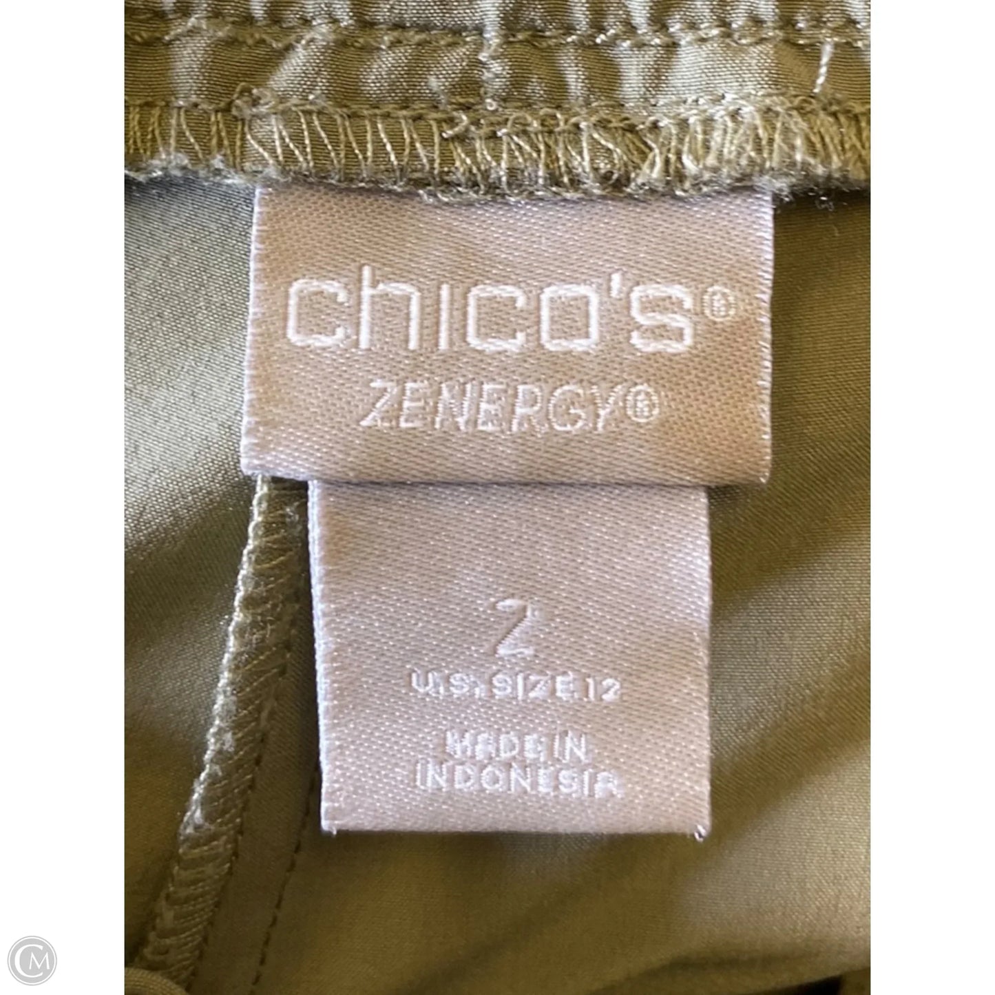 Pants Other By Chicos In Green, Size: L