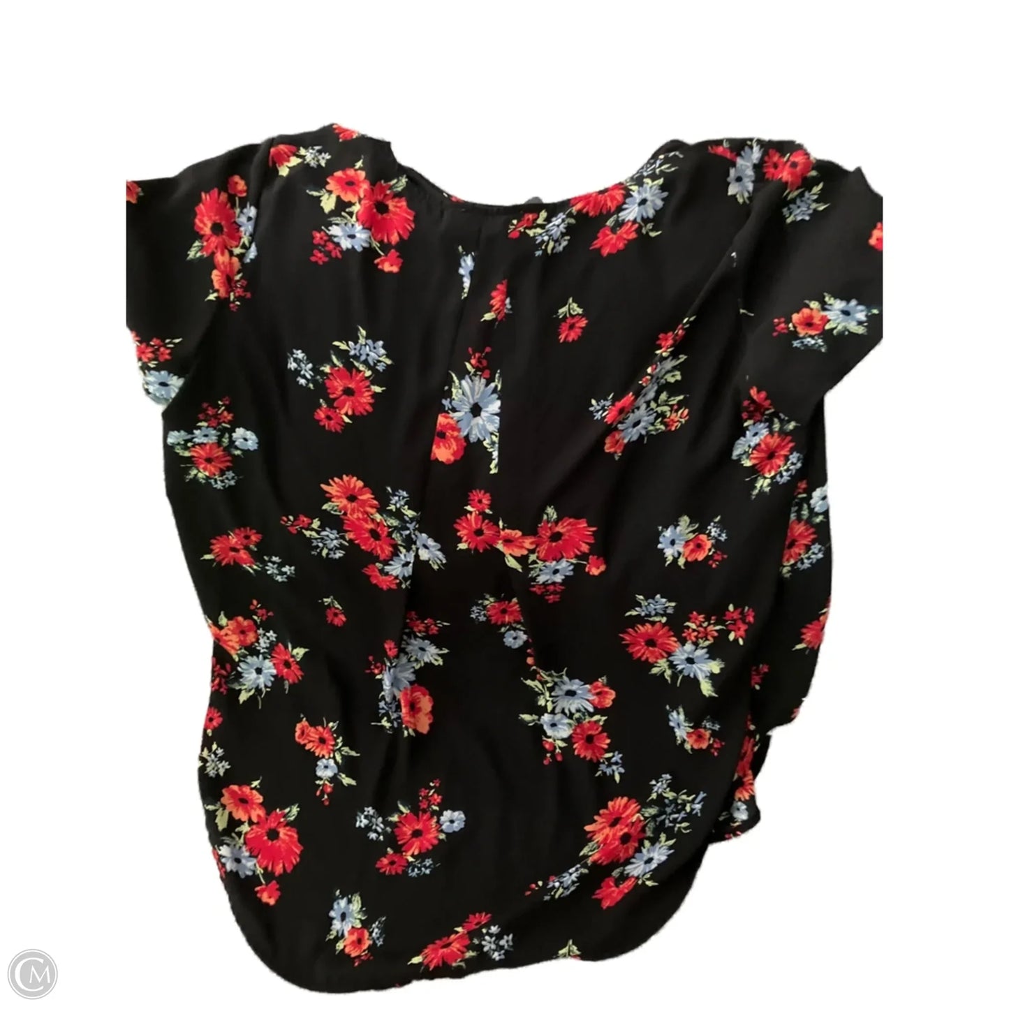 Top Short Sleeve By Chelsea And Theodore In Floral Print, Size: 2x