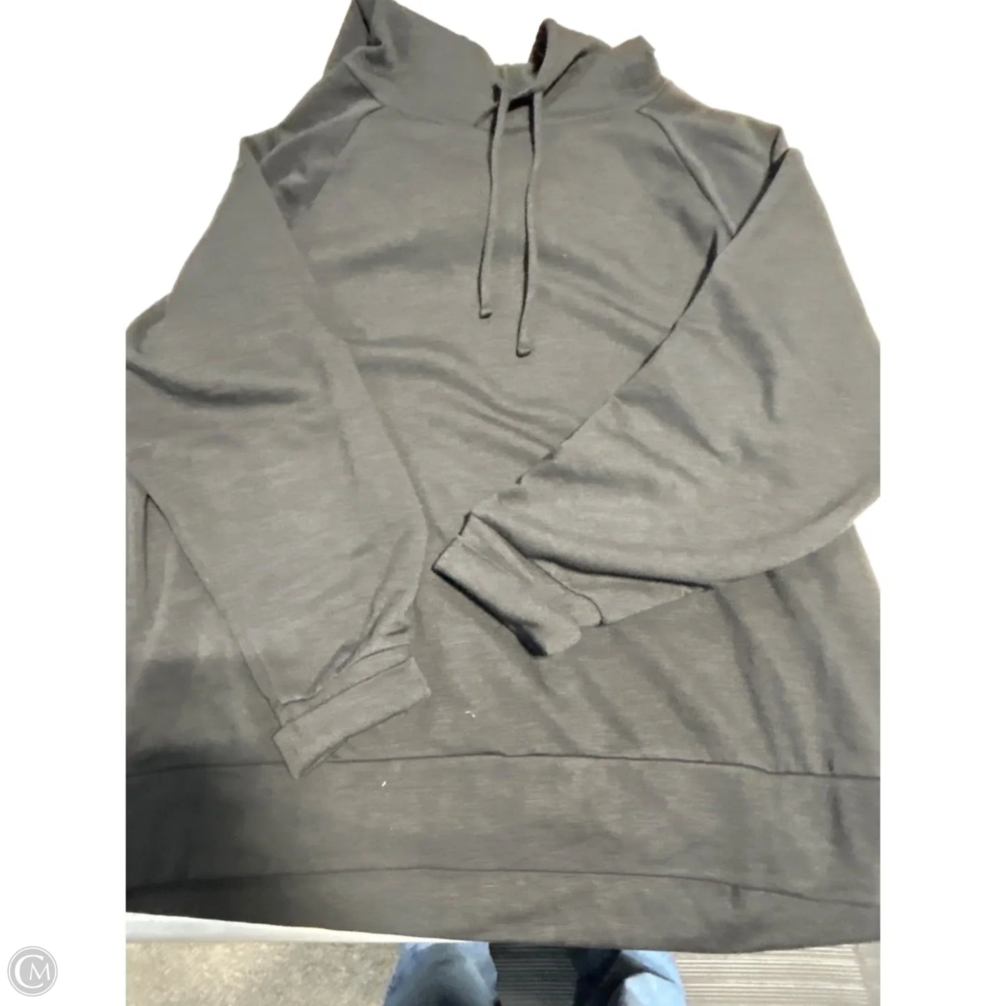 Sweatshirt Hoodie By Eddie Bauer In Black, Size: Xxl