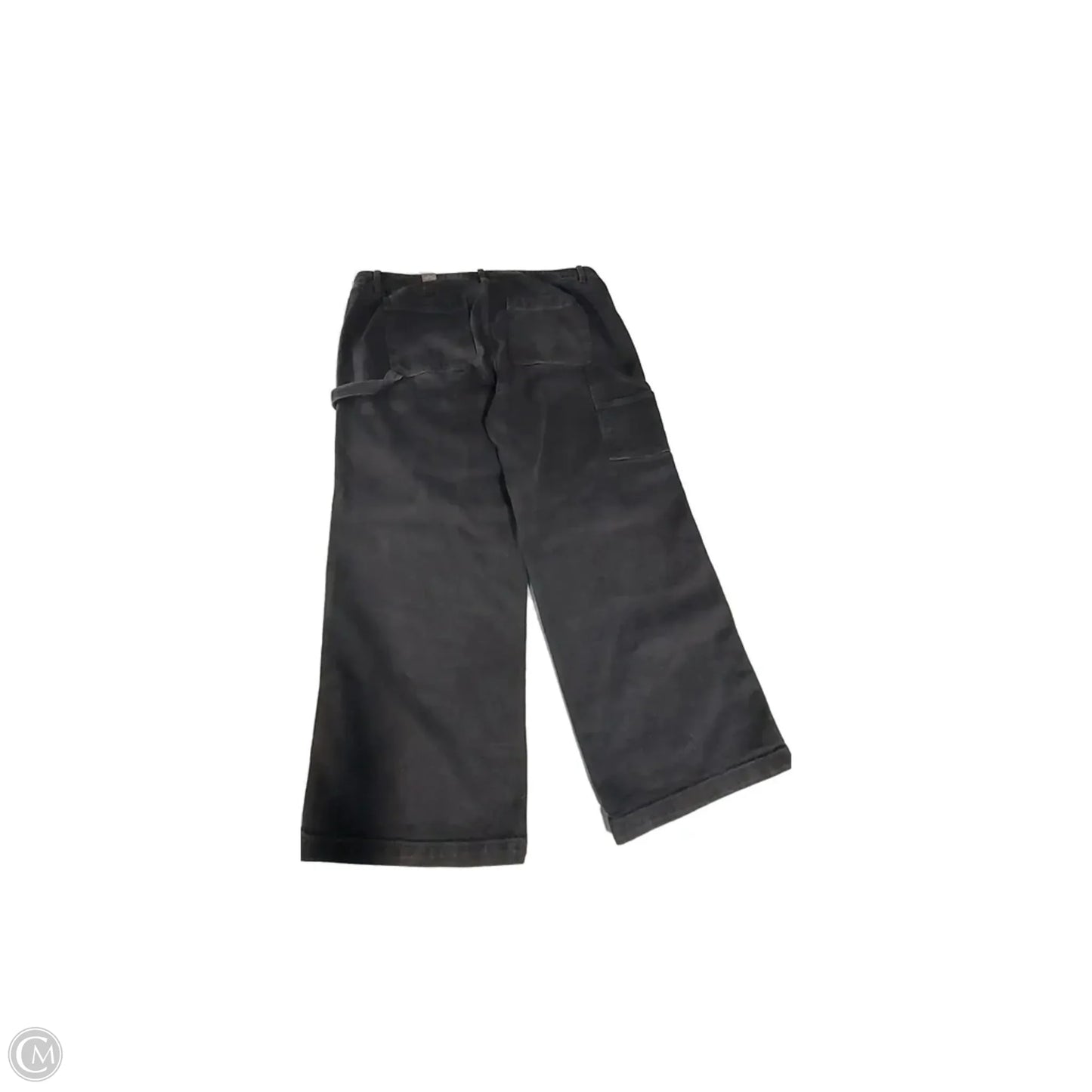 Jeans Wide Leg By Torrid In Black, Size: 18