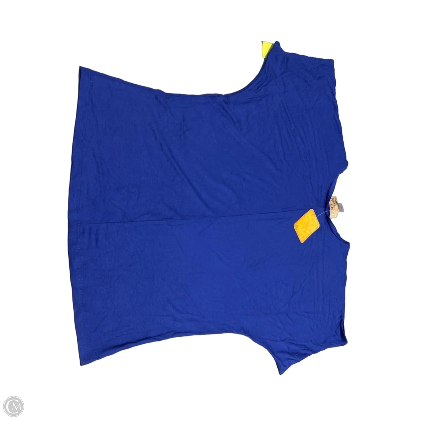 Top Short Sleeve By Cmc In Blue, Size: 1x