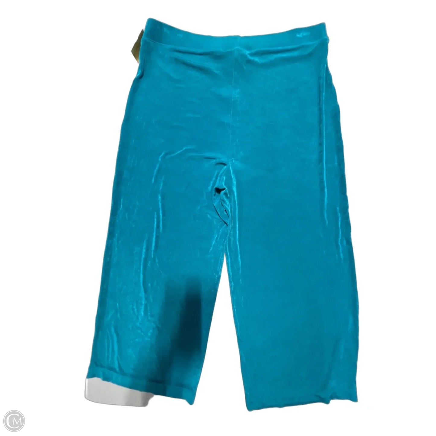Pants Other By Chicos In Teal, Size: 12