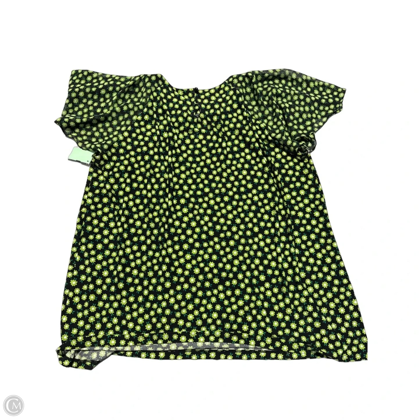Top Short Sleeve By Cato In Green, Size: 2x