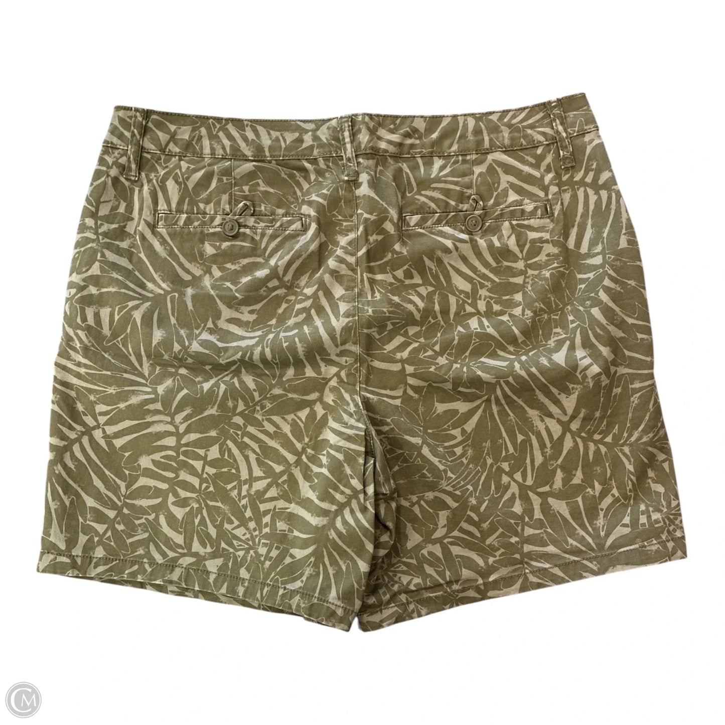Shorts By St Johns Bay In Green, Size: 14